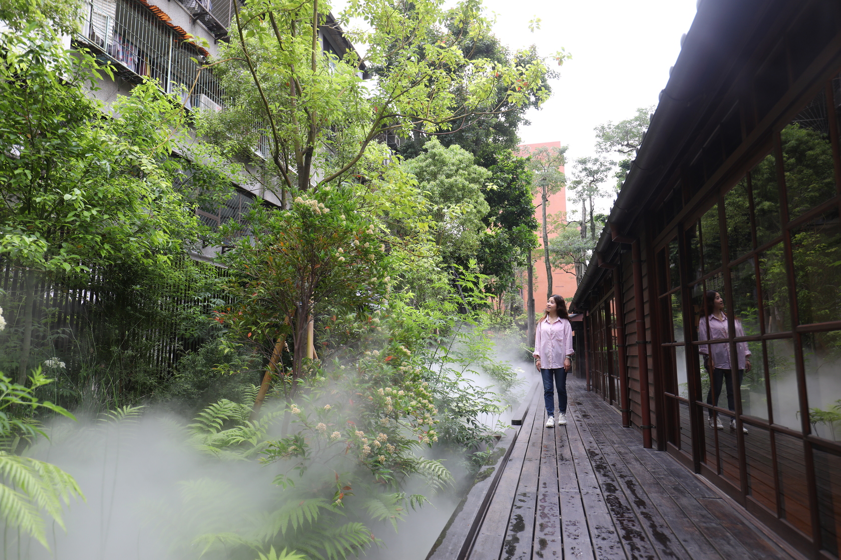 「次森林」的老樟樹群周遭定時噴起水霧給予植物滋養，也像極了漫步在森林裡偶遇的晨霧。
