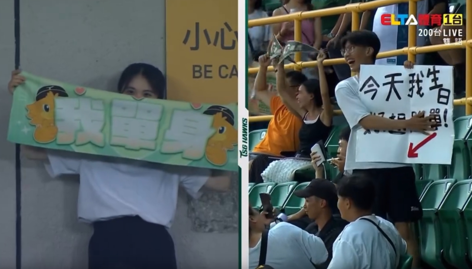台鋼雄鷹的場邊上演「來電50」，單身男女看個球竟意外「配對成功」。（翻攝自愛爾達Threads）
