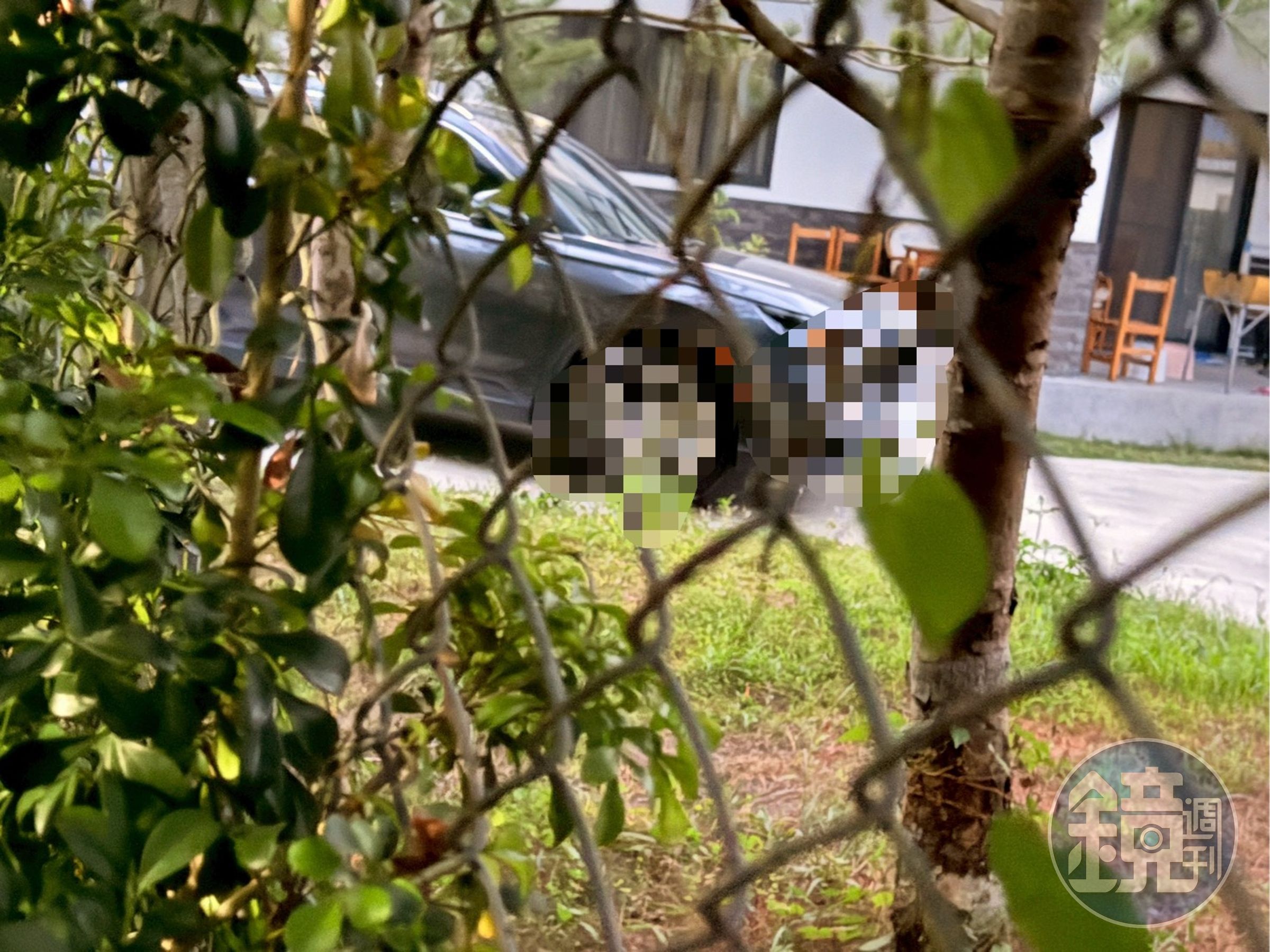 C老師多次被直擊固定在每週四的下午5點多獨自開車到農舍找邱，每回都待了一個小時才開車返家。（讀者提供）