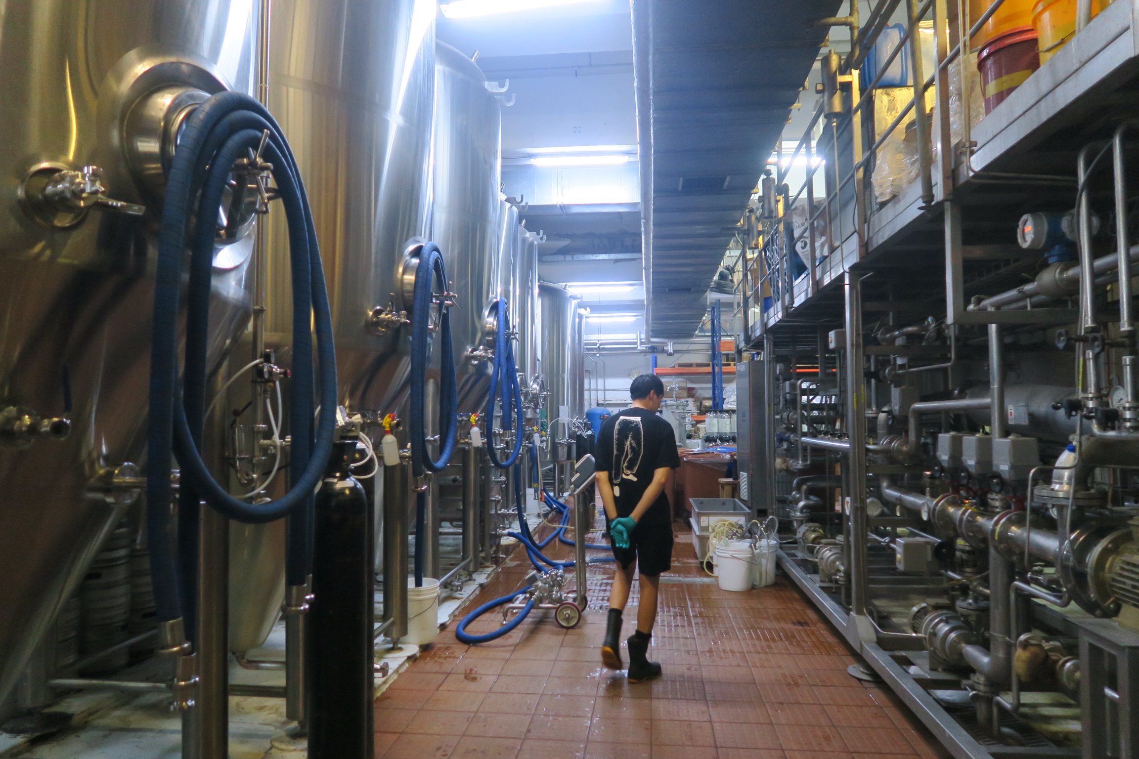 糖化槽、發酵槽都採用德國GEA CraftStar的專業釀酒設備。