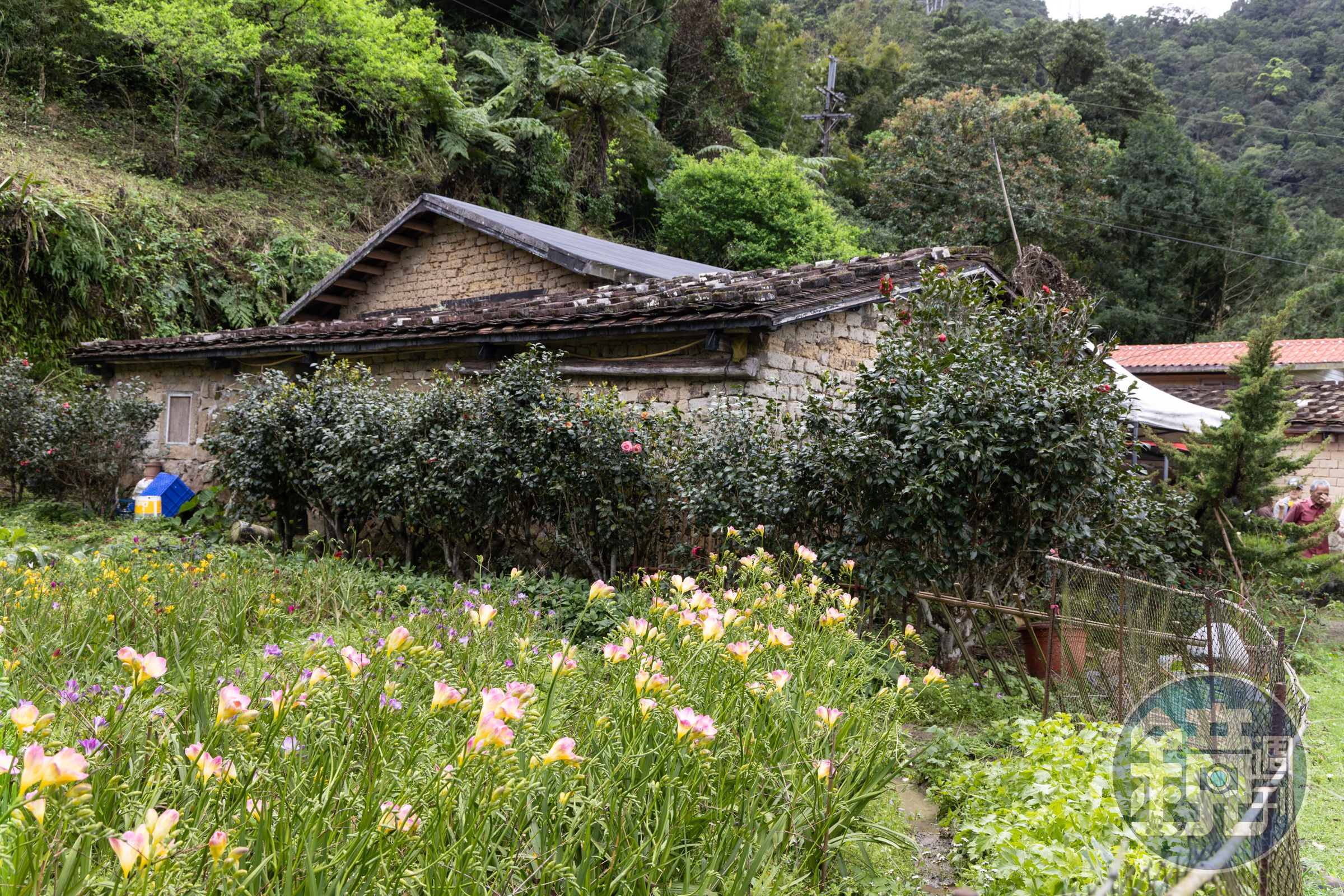 在地茶農傳承五代的老古厝「蔡氏古厝」，為二級古蹟，建造時間約為1880年（清光緒6年）至今。