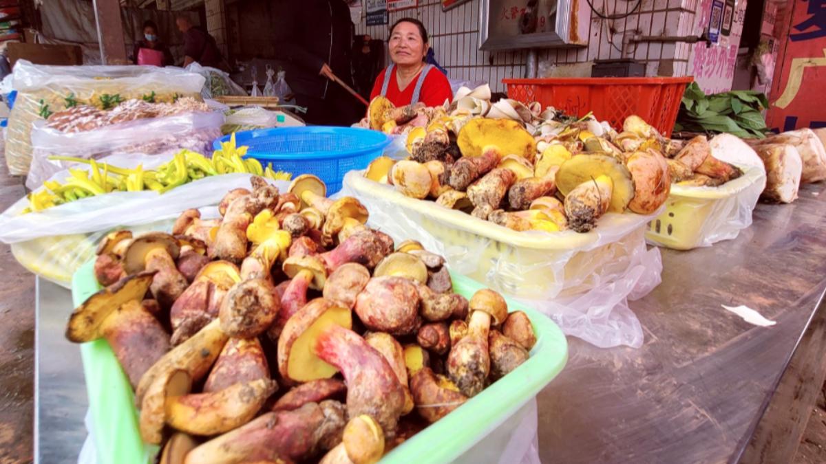 雲南常見食用菌，神祕蘑菇致幻「看到小人」。（翻攝自X/RoxomTV）