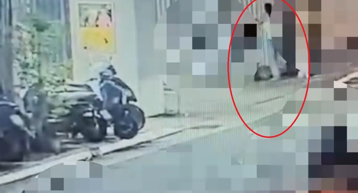 印度籍男子（紅圈）在台北街頭試圖強行抱走母親懷中的女童。（翻攝畫面）