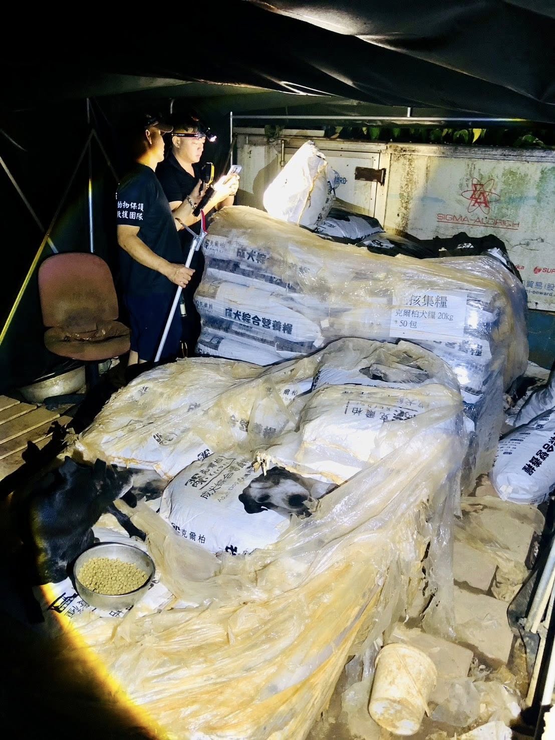 四周明明堆滿了飼料卻無人餵食。（邵柏虎提供）