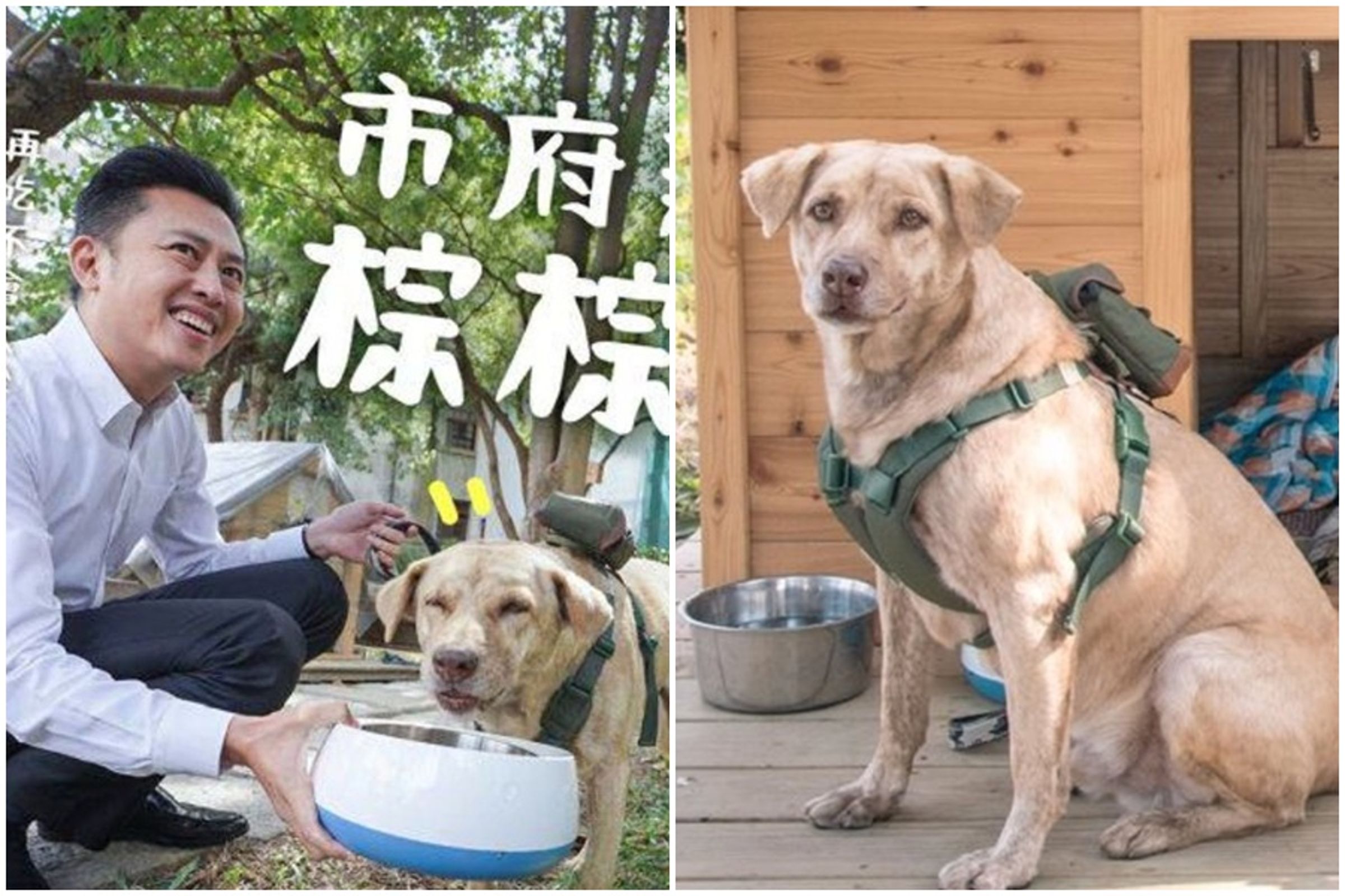 林智堅被爆領養浪浪「棕棕」為新竹市犬，但隔年就丟回收容所。（翻攝自林智堅臉書）