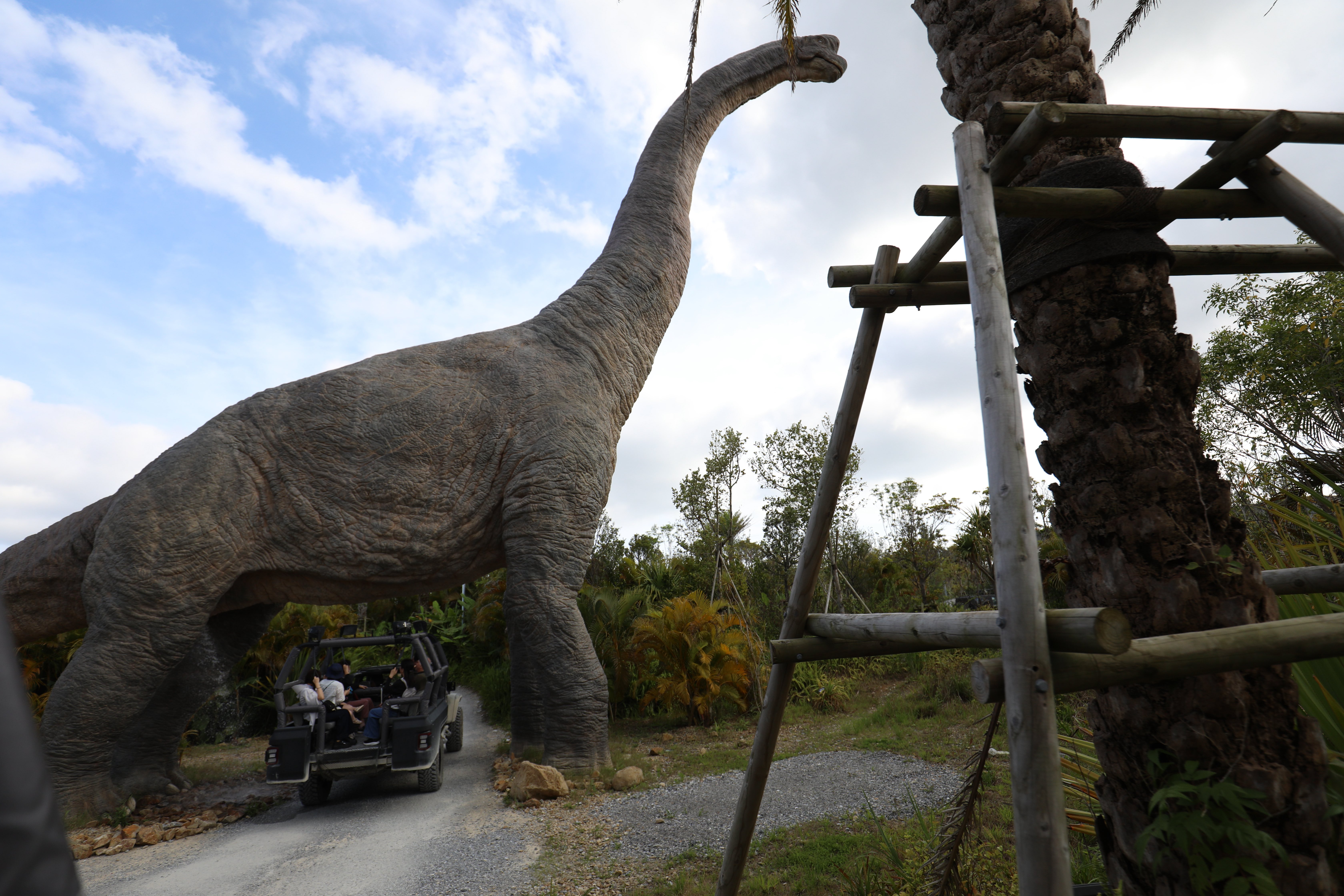 搭乘DINOSAUR SAFARI設施，從約7層樓高的雷龍巨足下穿越而過，震撼逼真的場景彷彿置身史前時代。
