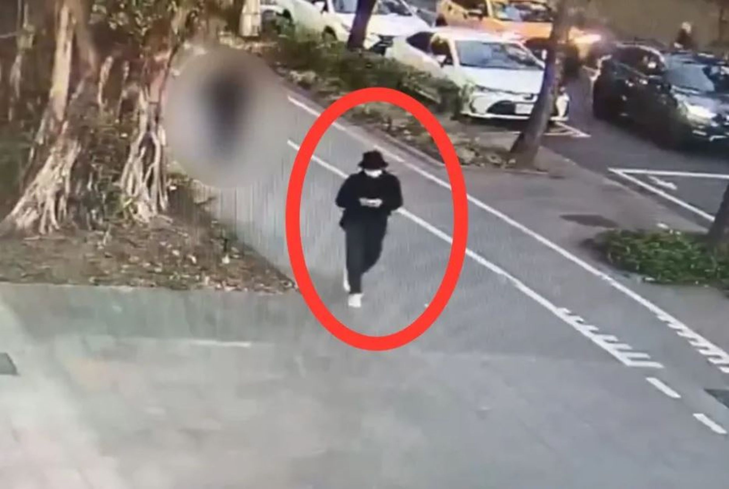 香港籍男子在北捷車廂行竊。（翻攝畫面）
