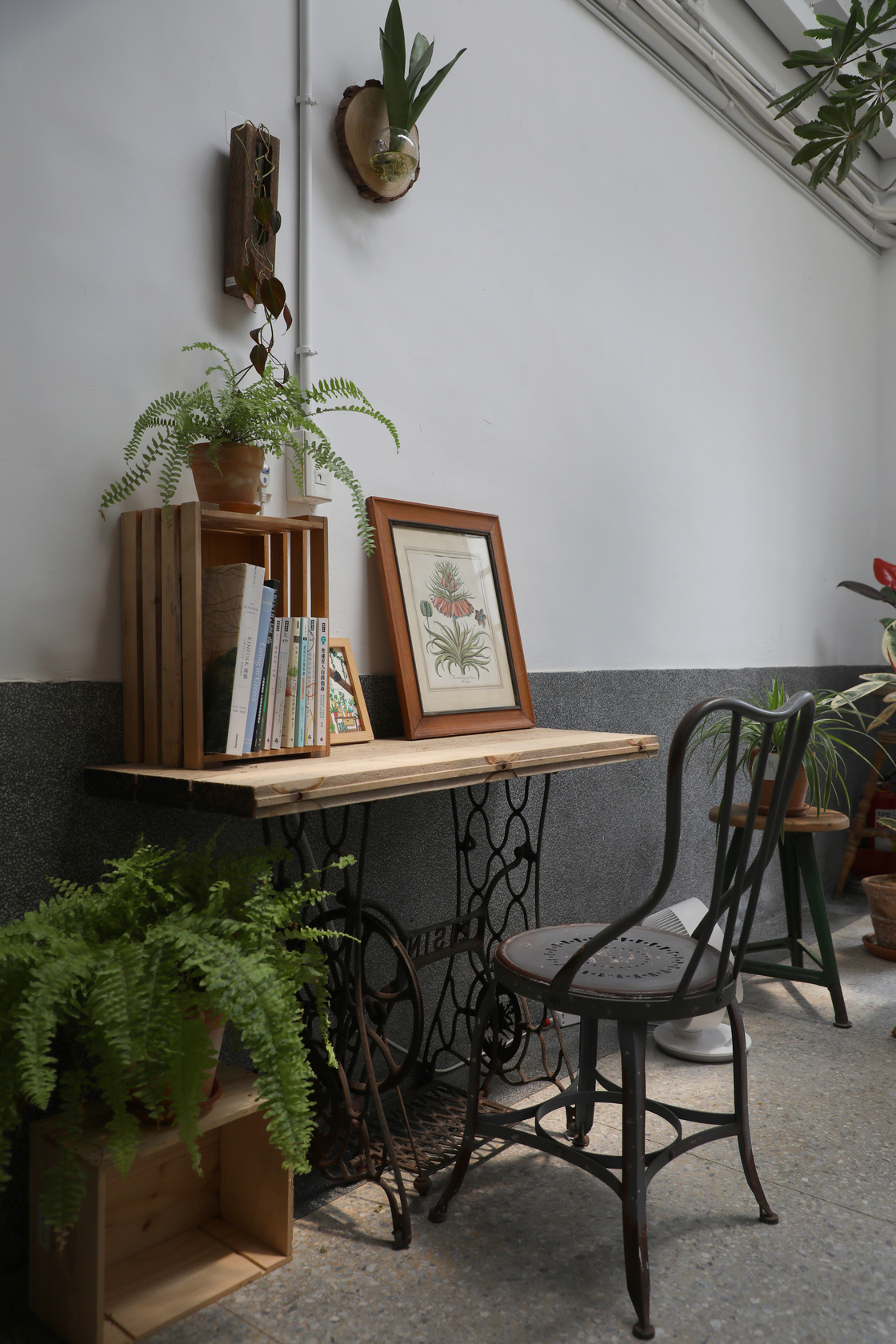 老針車靜靜的與老屋、植栽和書籍共處。