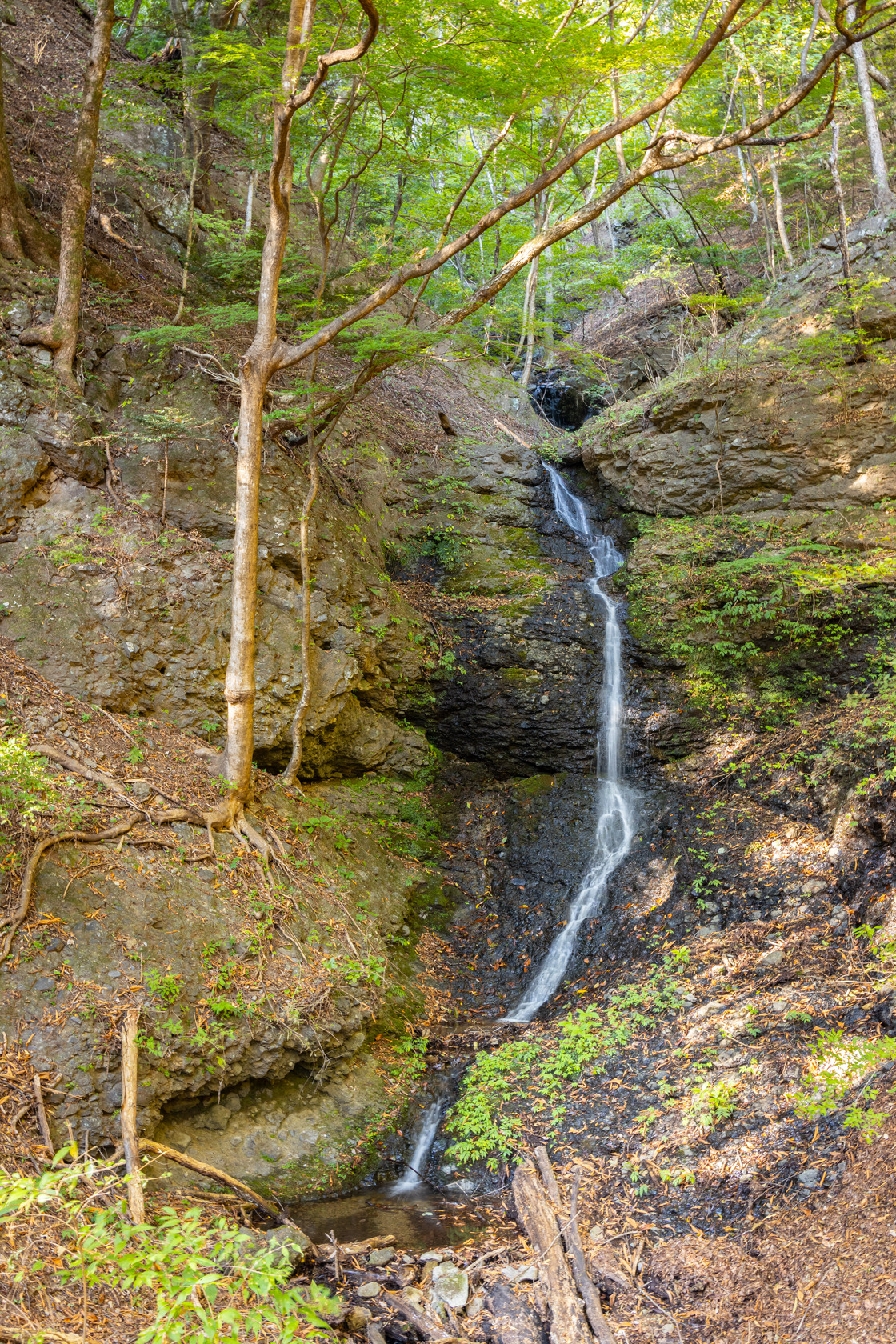 在「大正浪漫街道」裡有無數的瀑布,可循著地圖「挖寶」。