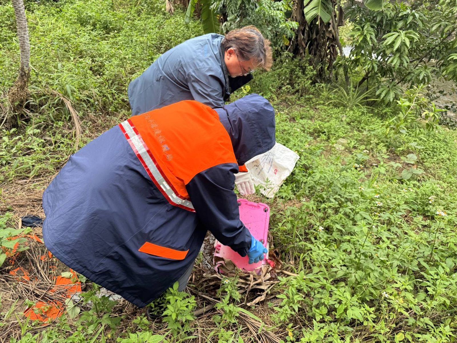 新北爆首例本土登革熱!疾管署釐清感染源 汐止婦屬散發個案