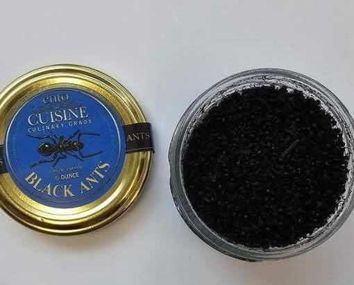官方送驗更發現這批進口螞蟻的重金屬殘留量竟高達合法食用昆蟲的55倍。（翻攝自＠pressbusan IG）