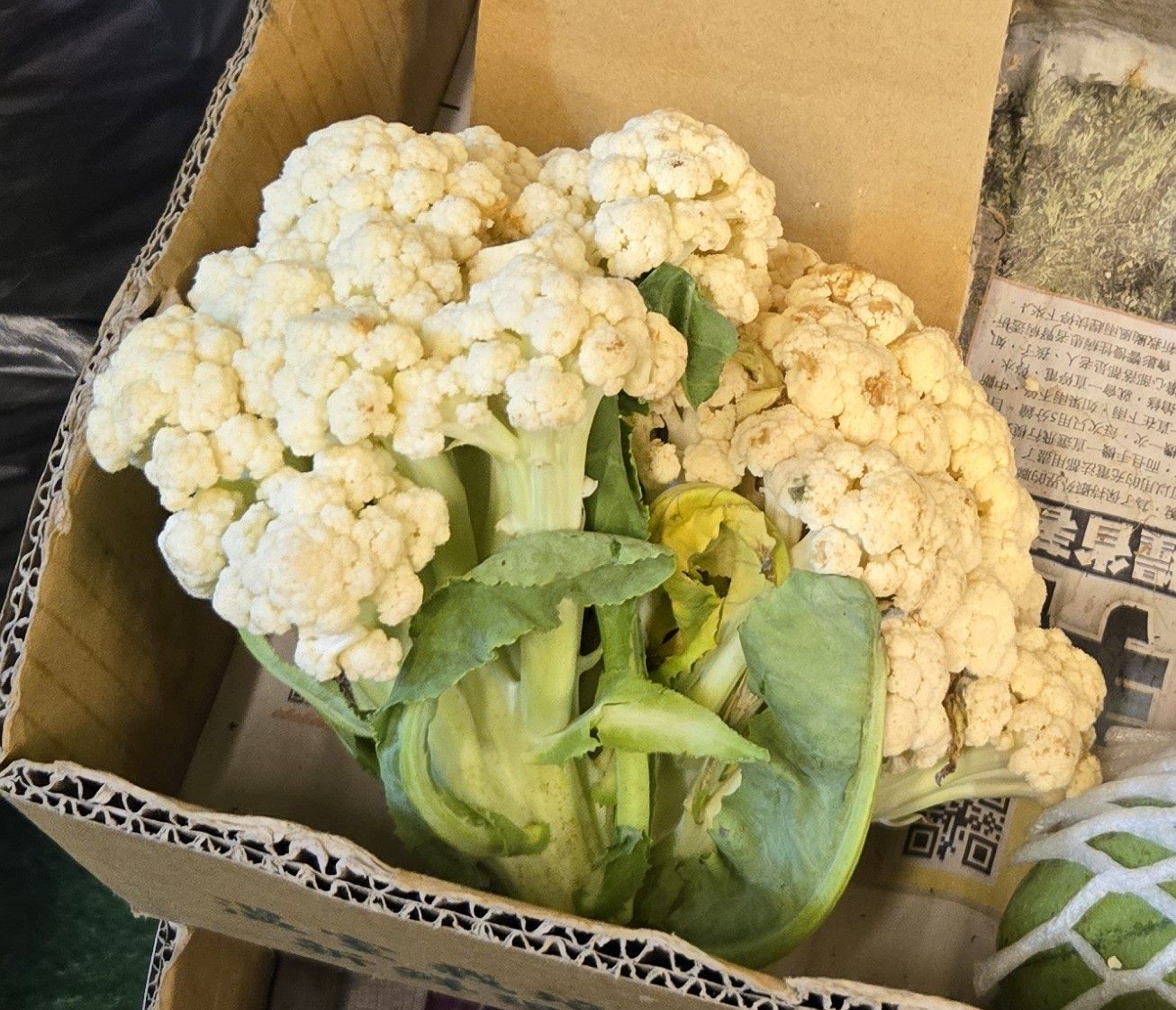 台北市衛生局今日公布10月生鮮蔬果抽驗結果，共6件產品不符規定。（台北市衛生局提供）