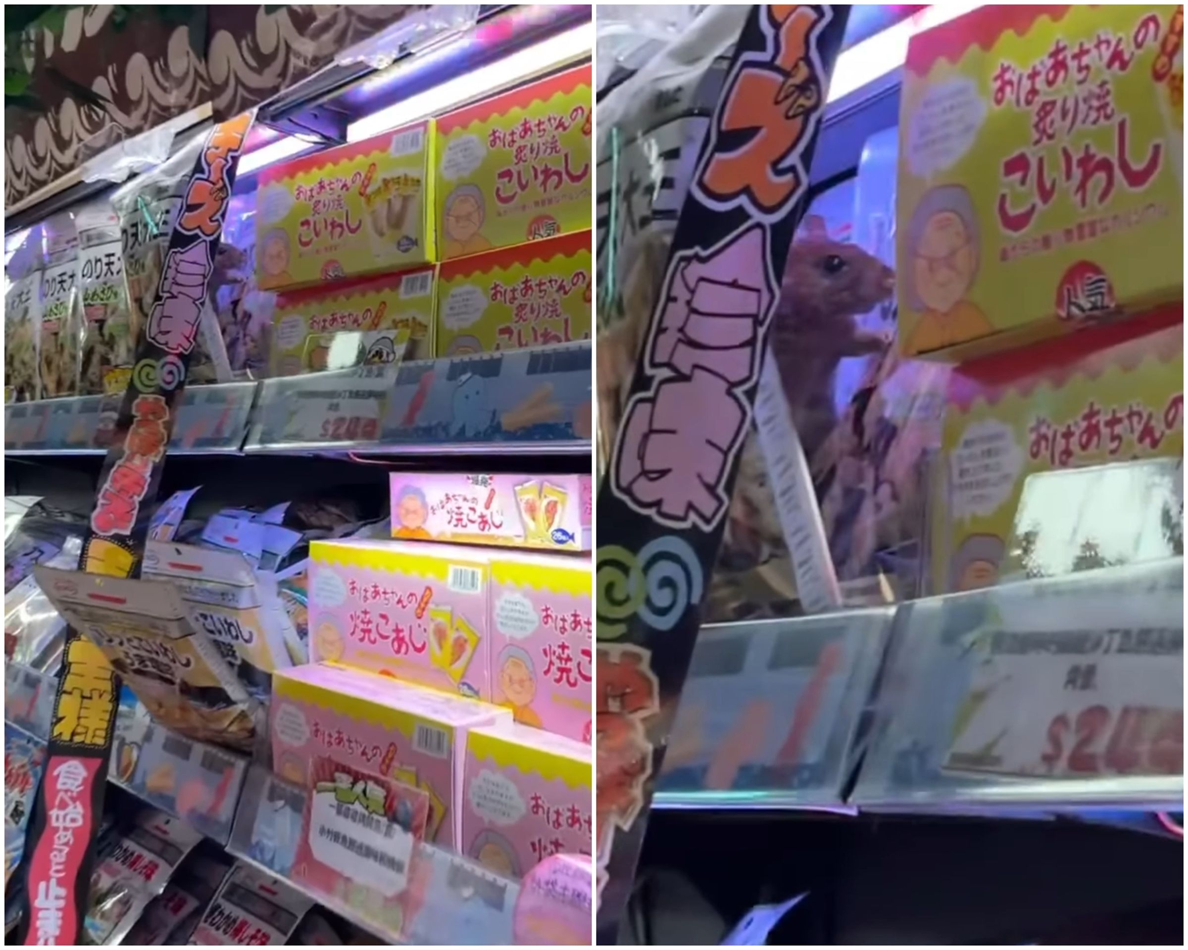有人在唐吉訶德西門店驚見老鼠,畫面曝光引起網路熱議。(翻攝自threads@kz_plus1105)