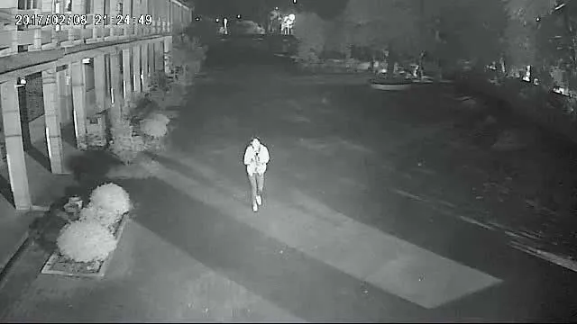 恐怖情人殺孝女／假帳號誘赴死劫　恐怖情人吃不了軟飯殘殺酒店妹