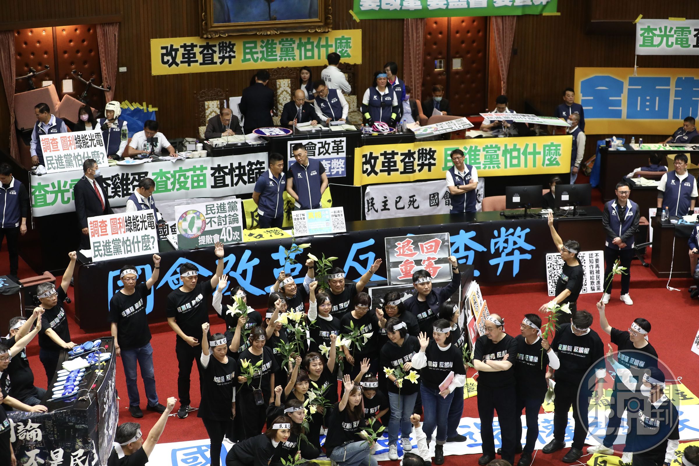 綠委們下午在議場中拿起百合花,並一同合照。