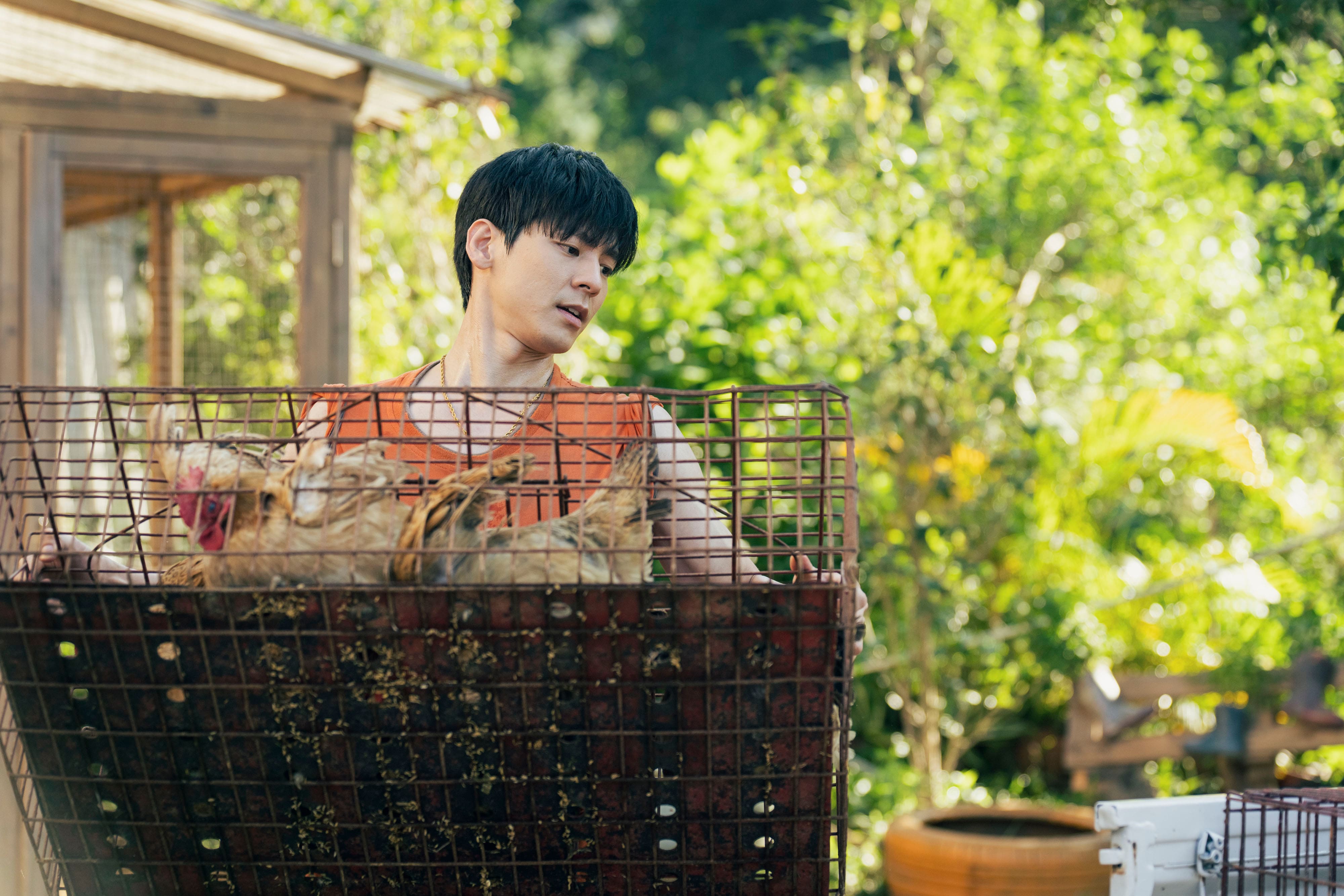 林柏宏一拿到新鮮雞蛋就逼身邊人喝。（伯樂影業提供）