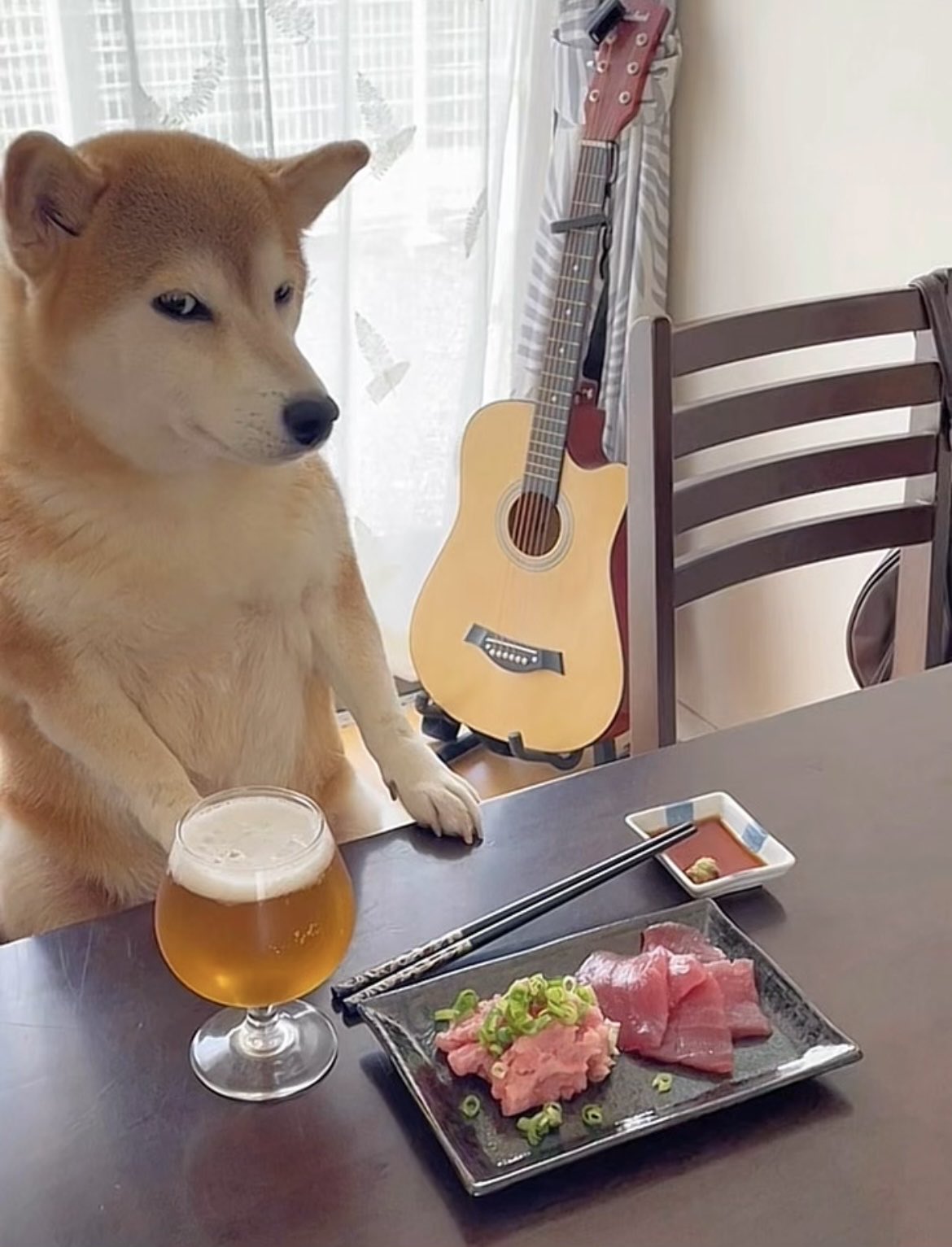 柴犬momo有許多相當人性化的表情，相當可愛，（翻攝自X@momonosekaiii）