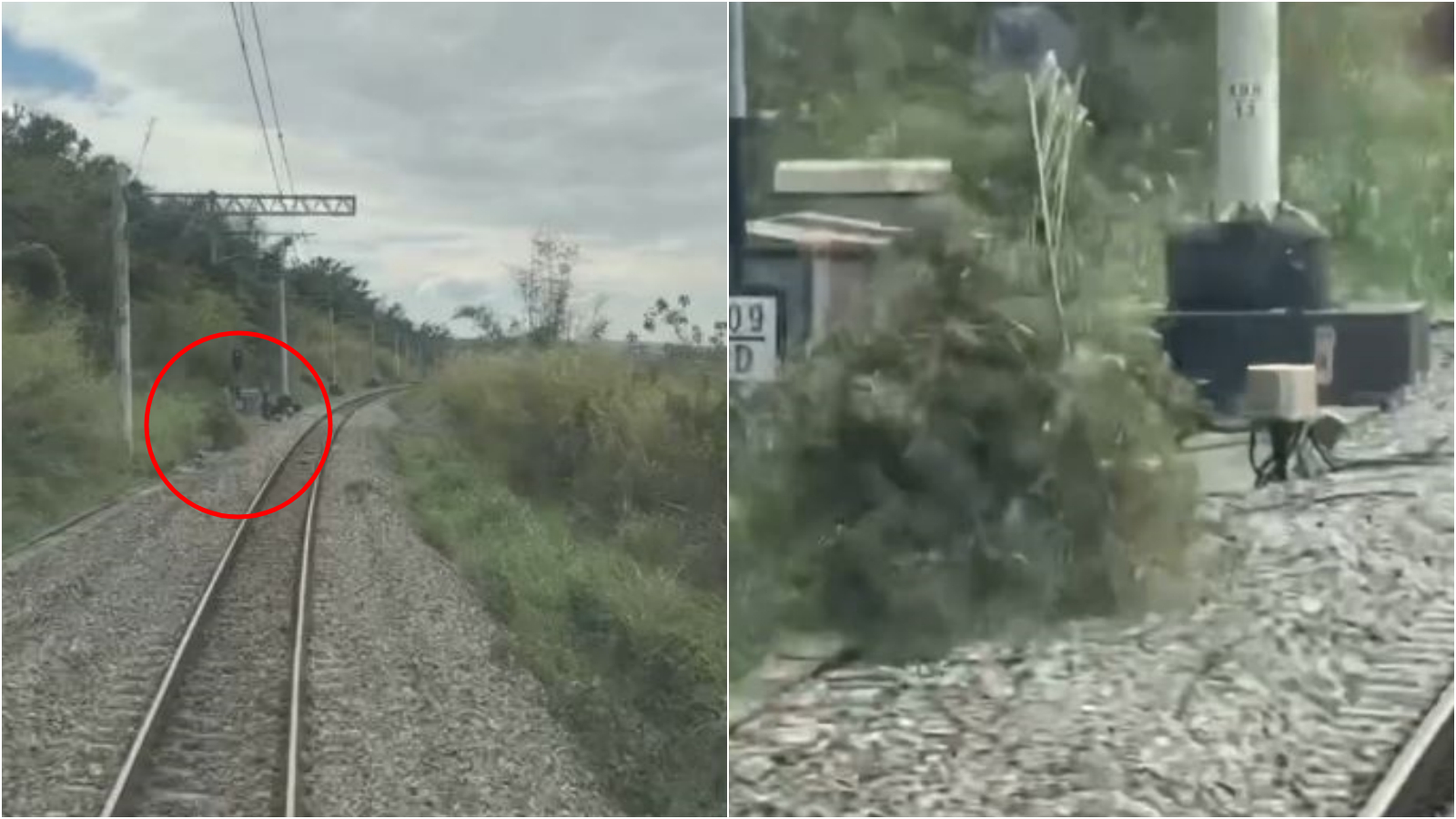 台鐵鐵軌旁驚見「移動草叢」。（翻攝Threads@wupunpun_1216）