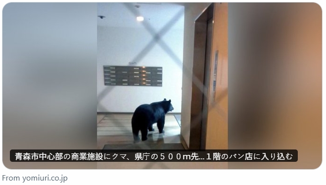 日本青森縣市區有1頭成年黑熊闖入商業大樓逛大街，最後因誘捕失敗，基於安全考量才緊急射殺，民眾有一度疏散避難。（翻攝自X@Yomiuri_Online）