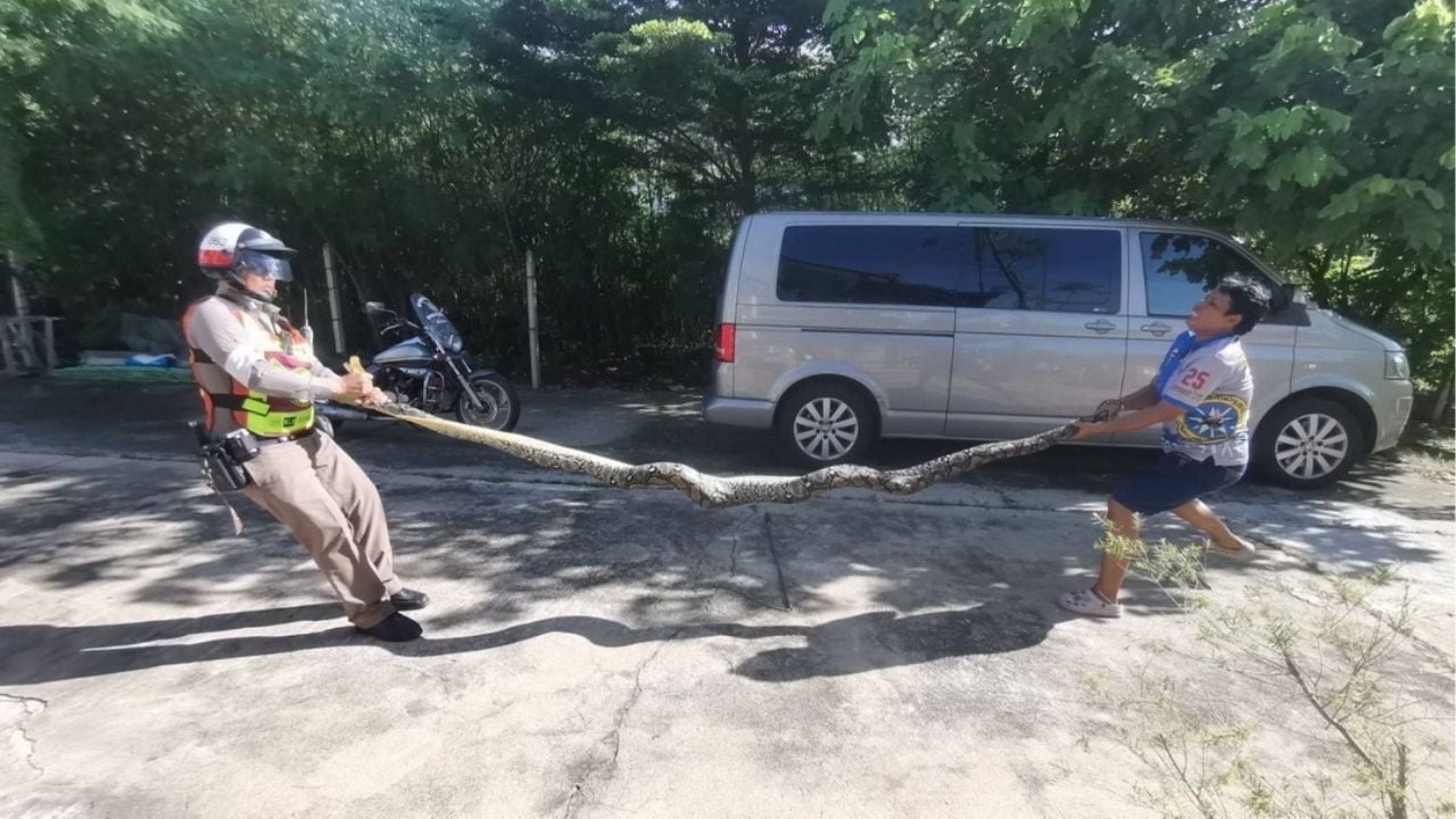 蟒蛇最終被制伏、裝袋,並將其野放至遠離人類居住區的自然棲地。(翻攝畫面)