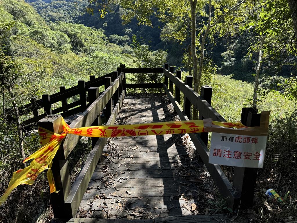 苗栗縣水雲瀑布今日發生虎頭蜂螫傷登山客，目前該段步道已暫時封閉。（翻攝畫面）