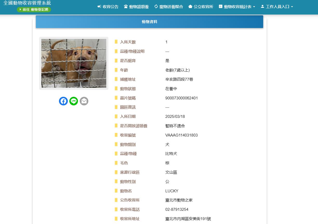 比特犬「Lucky」收容資訊曝光。(翻攝全國動物收容管理系統)