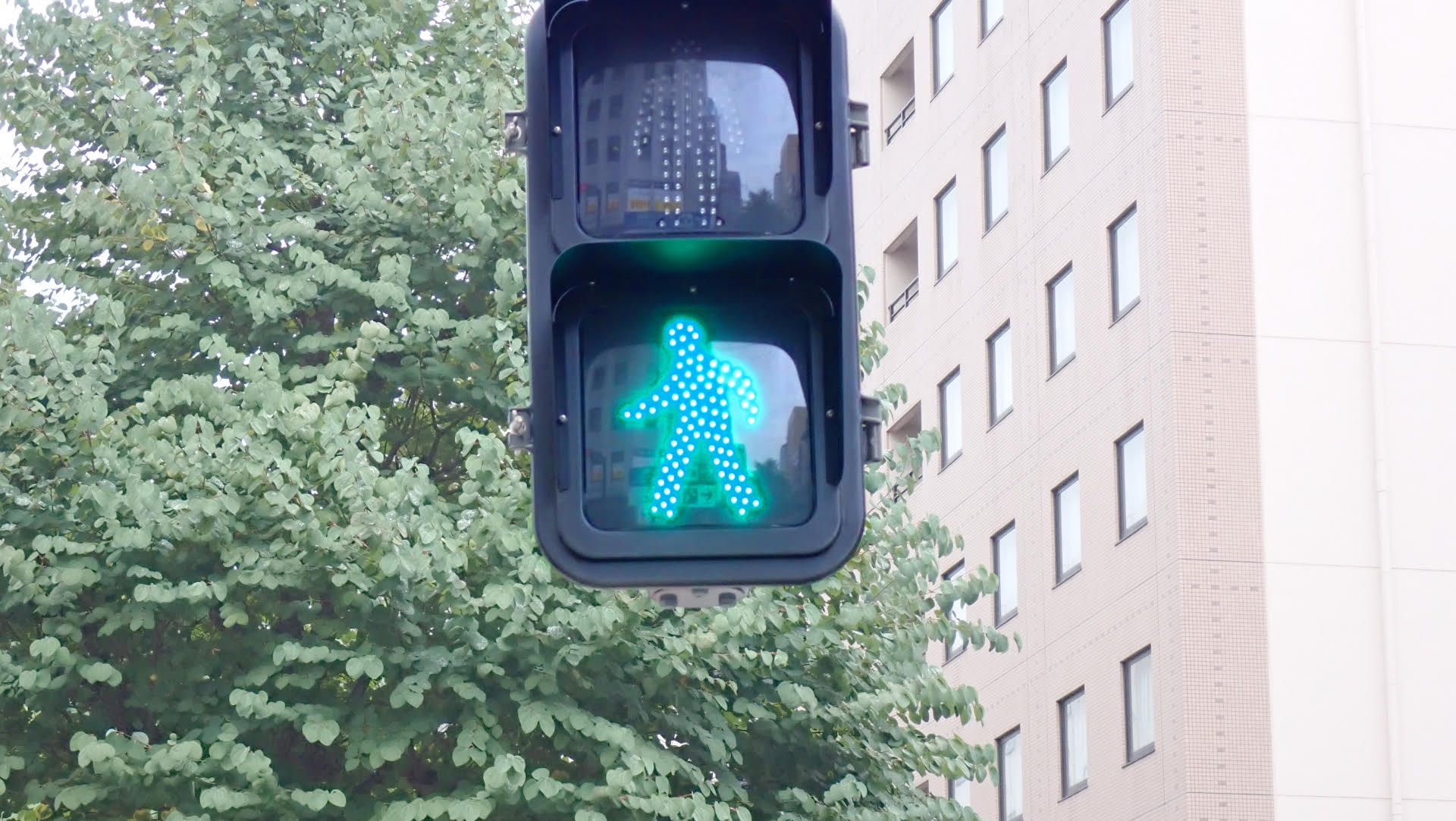 一名網友抱怨綠燈過馬路時，竟被警察攔下開了一張罰單。（示意圖，photoAC）