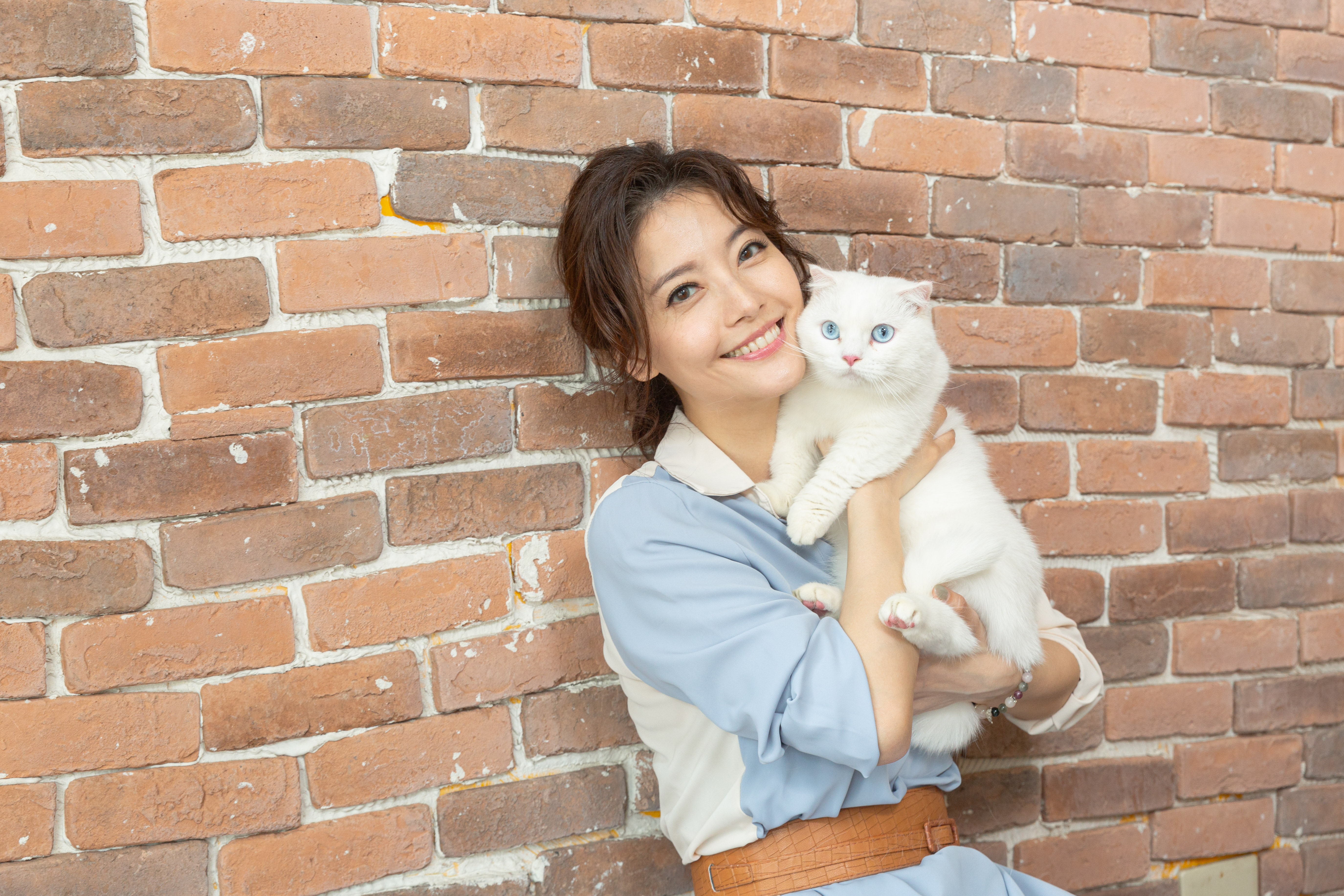 王樂妍是貓奴,家裡有5隻貓寶貝,這天帶著寵物來工作。