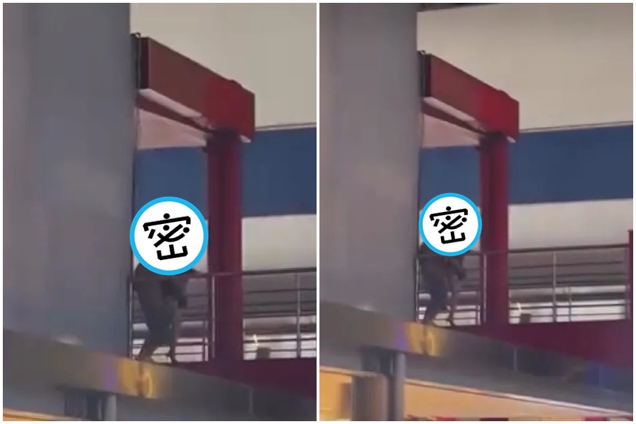 1男1女竟在台北市信義區商圈二樓，疑似靠近信義威秀影城的空橋上打砲。（翻攝自爆料公社）