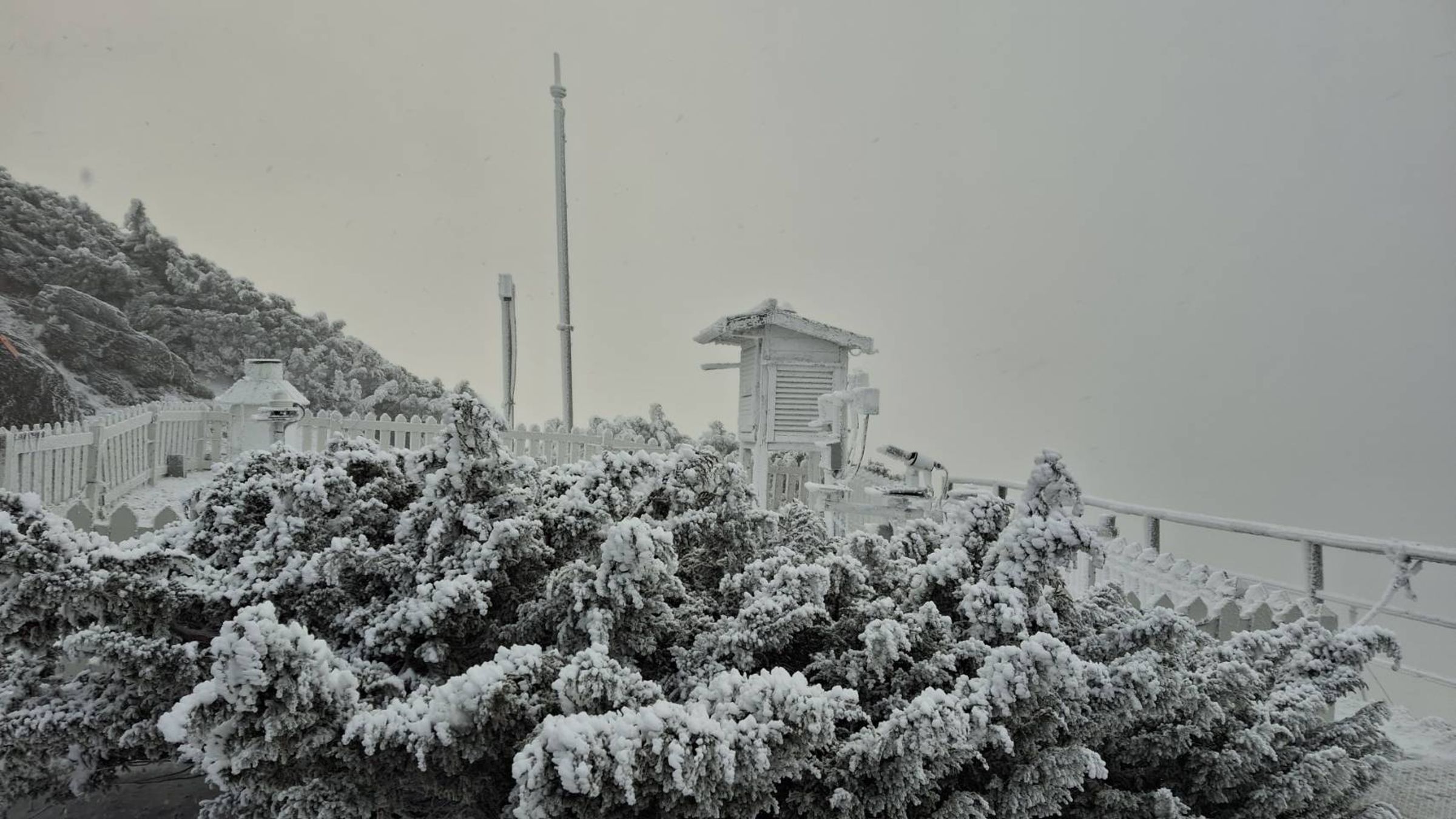 玉山氣象站今6時許觀測到降雪,8時仍在降雪中,可以看到氣象站壟罩在一片雪白中。(翻攝自臉書@報天氣 - 中央氣象署)