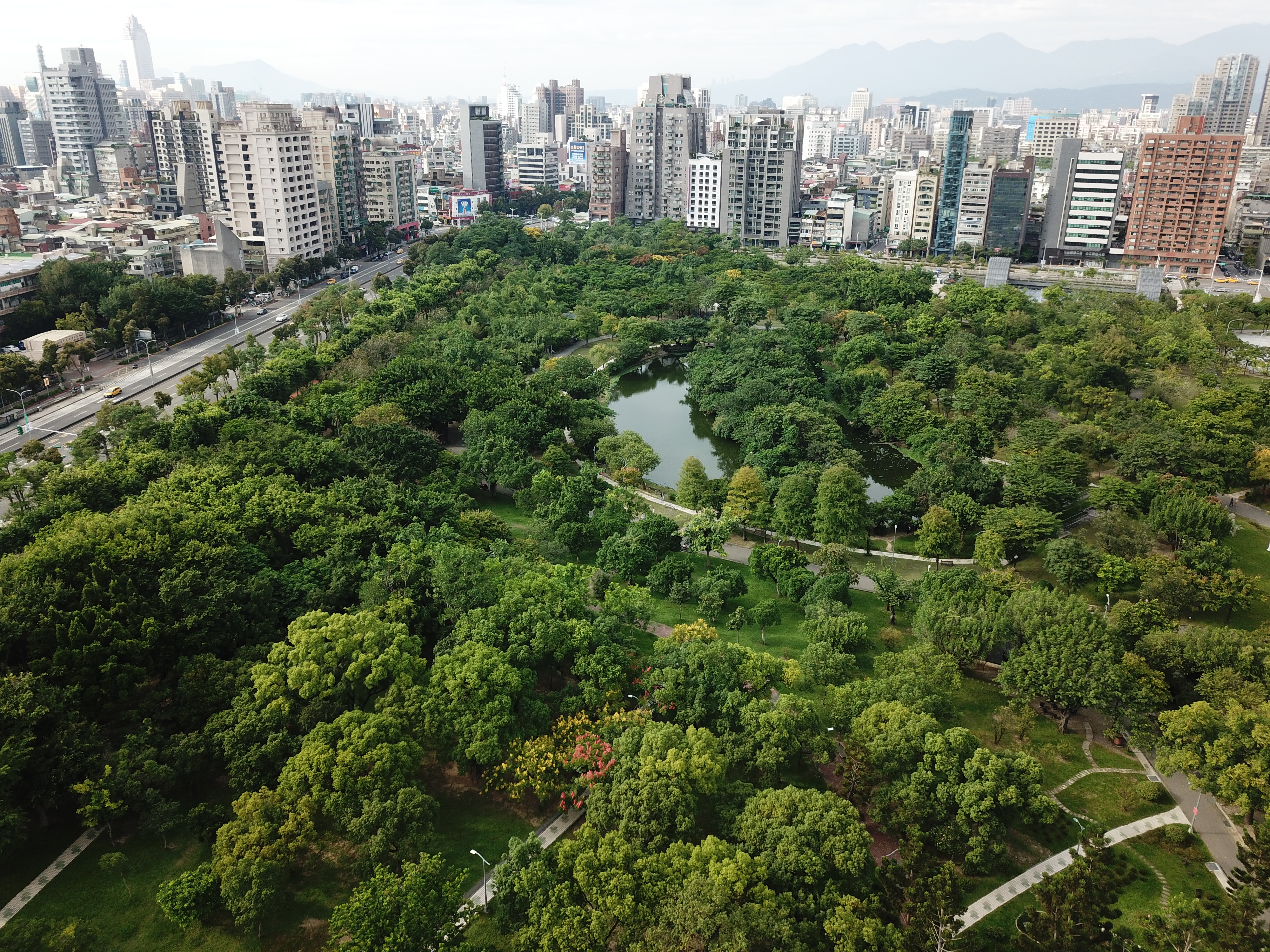 台北市大安區爆發今年全台首例漢他病毒死亡，1名7旬男子發病後於13日因敗血症併多重器官衰竭死亡。（本刊資料照）