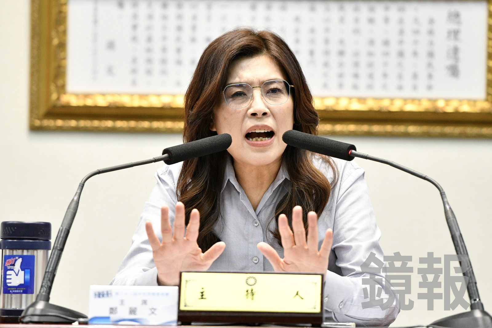 稱讚習近平手像雲朵般柔軟? 鄭麗文證實:私下談話