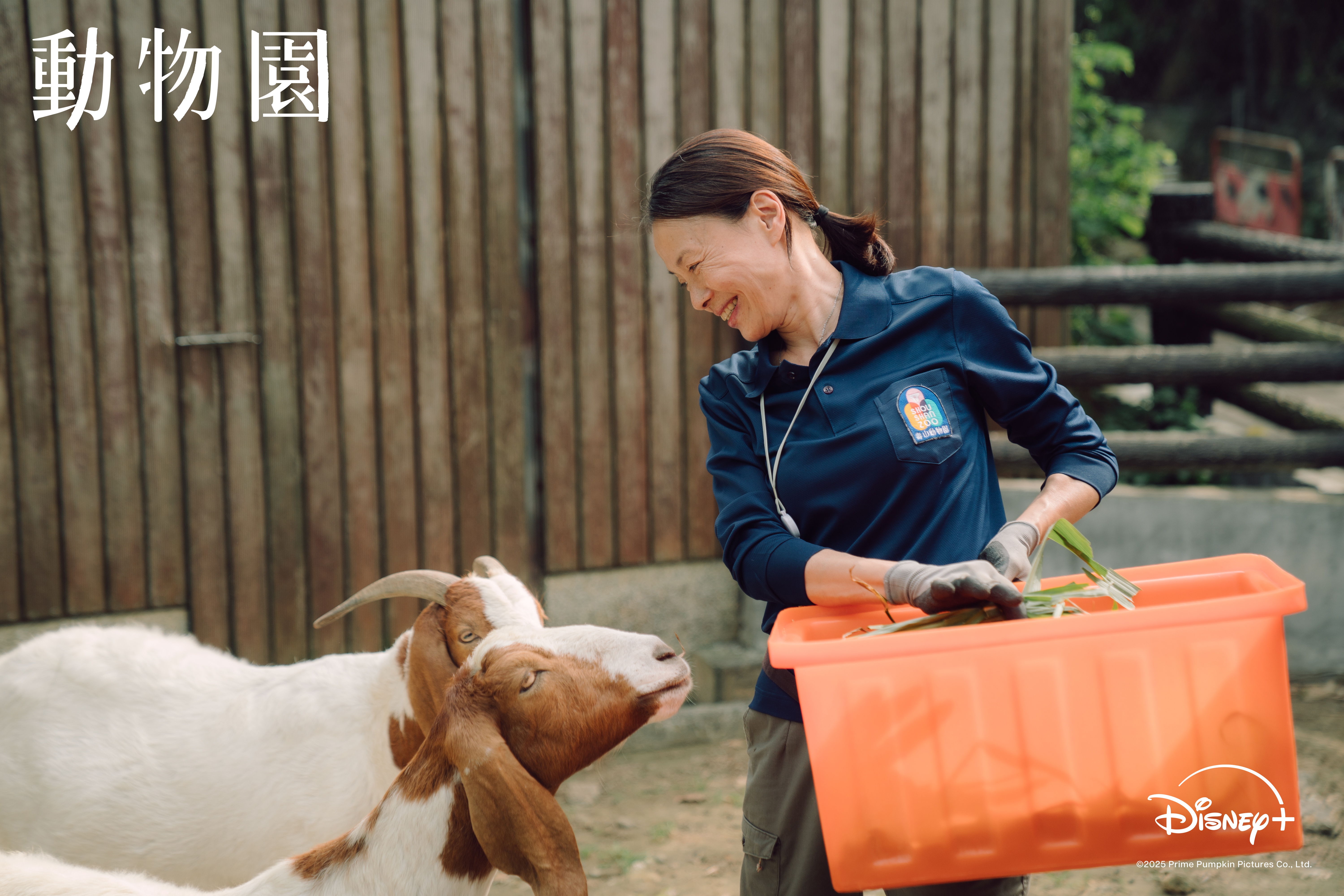 影后柯淑勤在《動物園》展現複雜的情緒演技。（Disney+ 提供）
