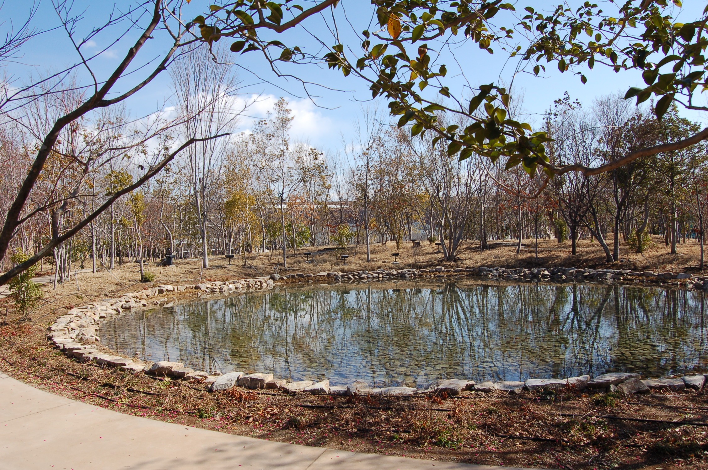 「靜謐之森（静けさの森ゾーン）」的淺水池中檢出超標的退伍軍人菌。（翻攝自大阪萬博X）