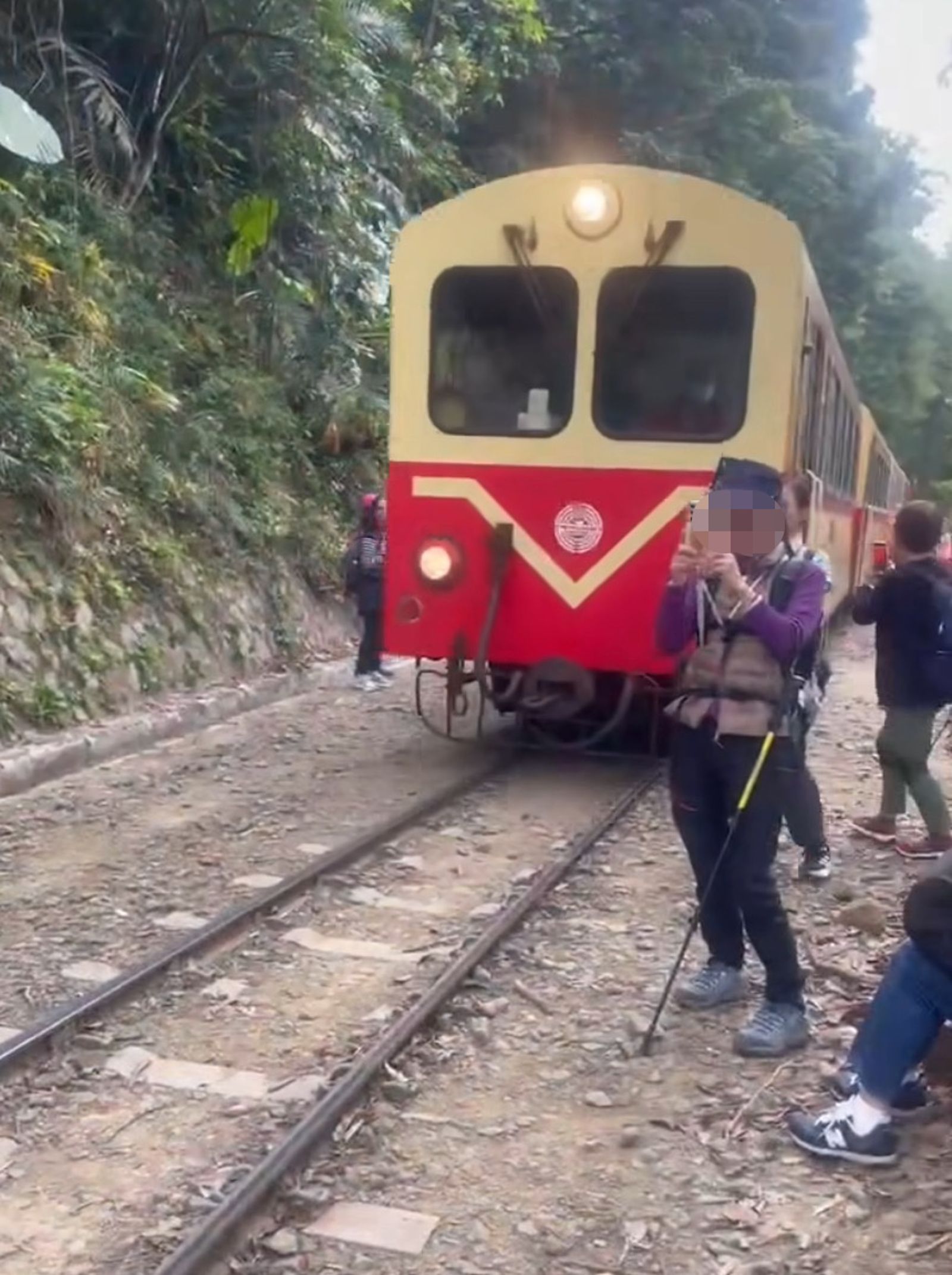 畫面可見,這名女遊客不甩火車鳴笛繼續拍照,最後被撞倒在地。(翻攝「翻轉大高屏交通」臉書)