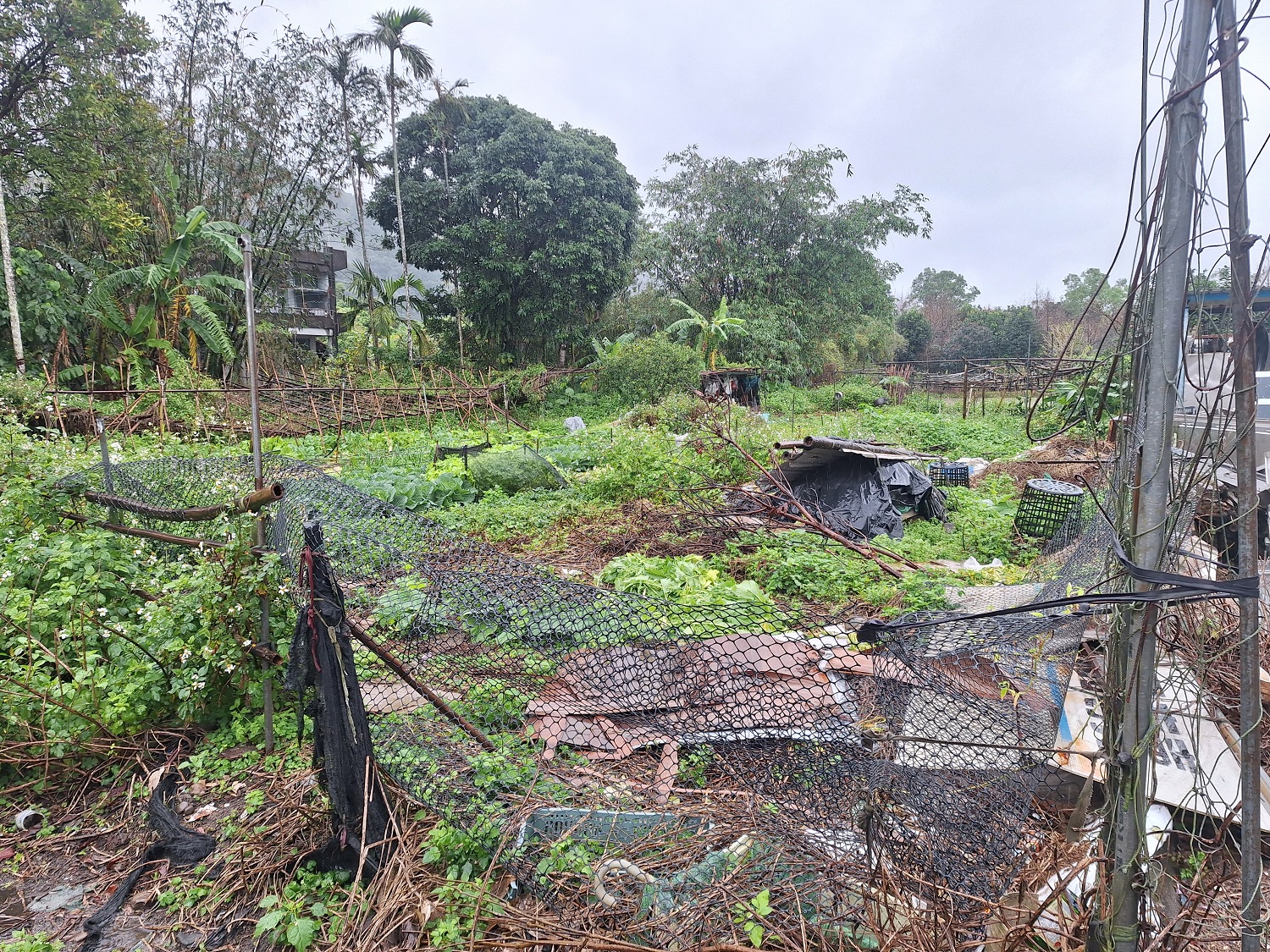 沈男名下持有1/3、位於宜蘭礁溪的近千萬元菜園。（法務部行政執行署宜蘭分署提供）