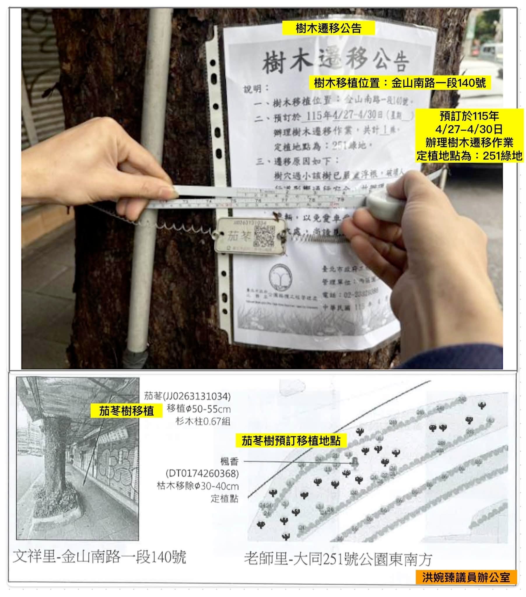 5月委外廠商進場作業時,竟直接將樹木攔腰鋸斷、分段切塊運走。(翻攝自洪婉臻臉書)