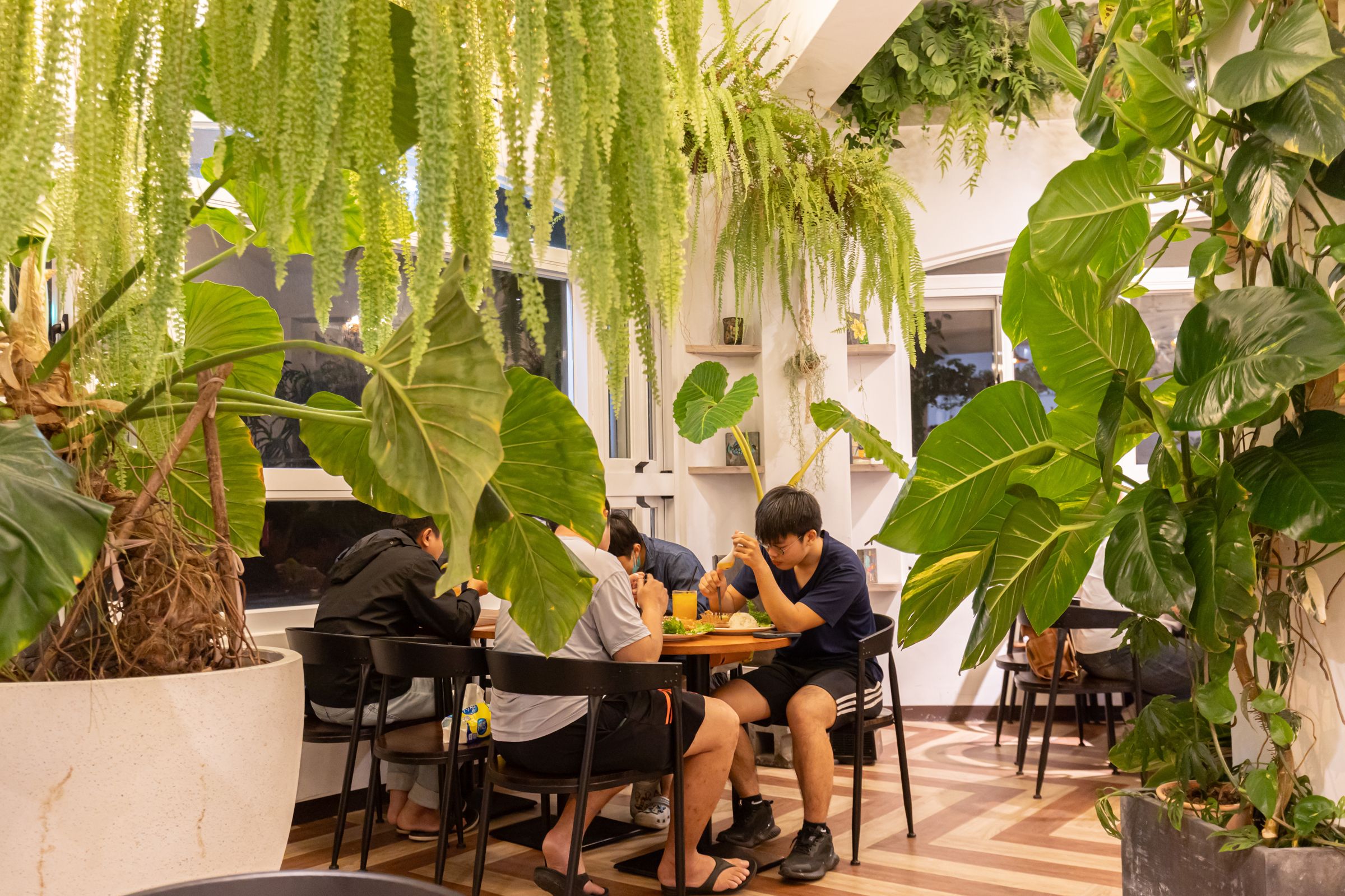 店主非常用心照顧植栽，綠植蒼鬱到成了桌與桌之間的天然屏障。
