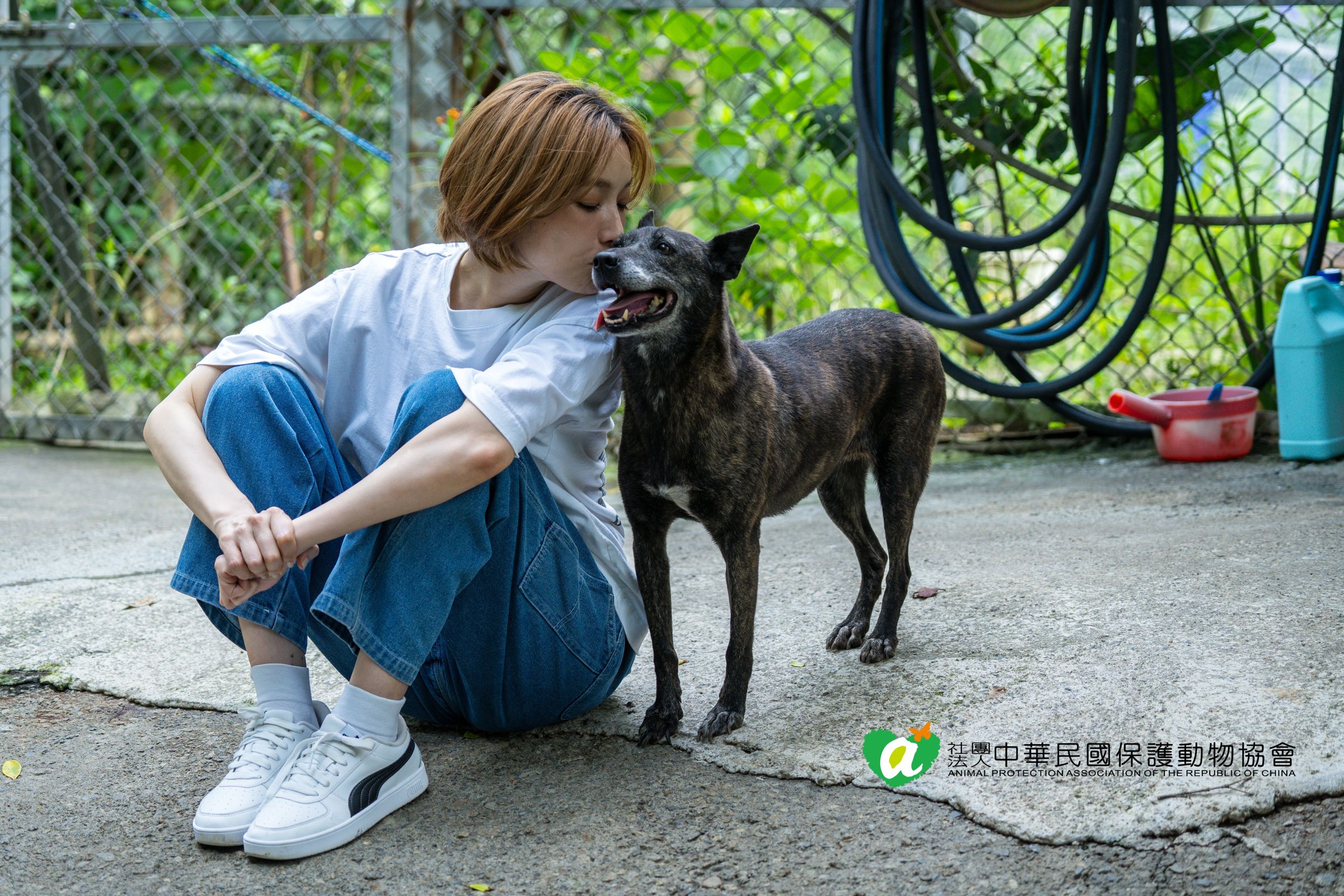 蔡淑臻心疼浪浪希望為他們募款獲得更好的照護。/貝殼放大