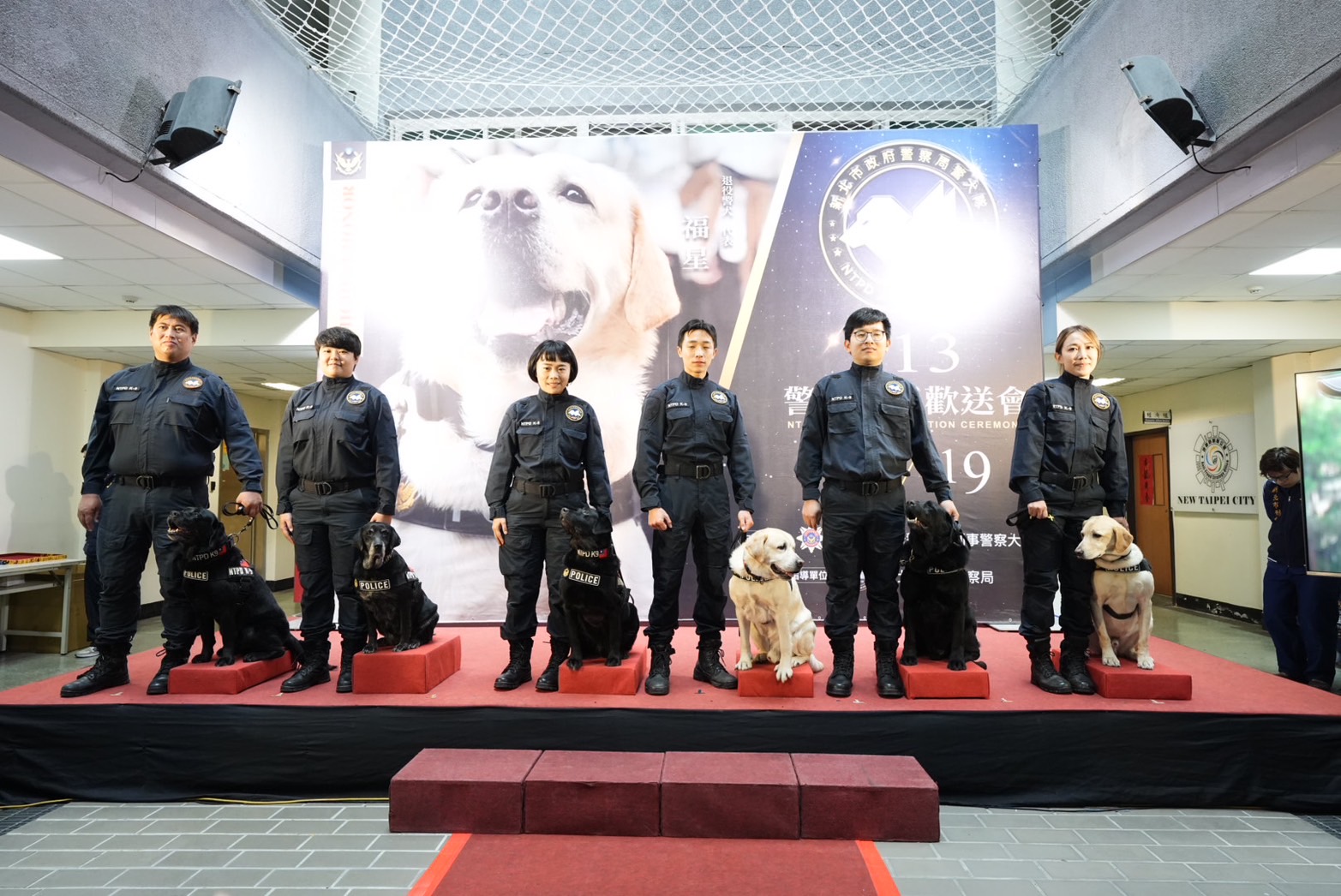 新北市警局今天為警犬隊6隻功勳警犬舉辦退役儀式。（翻攝畫面）
