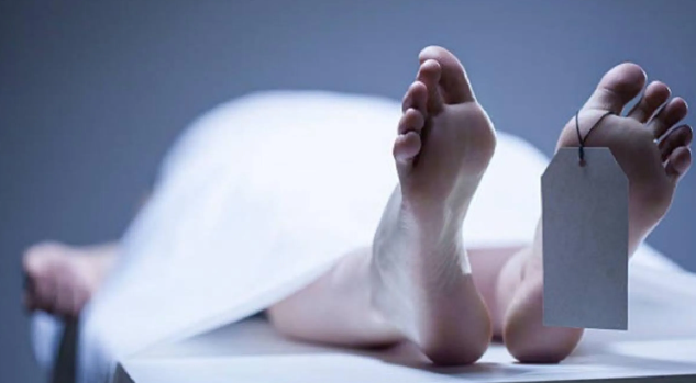 美國一名女子隱瞞父親死訊，和老公一起詐領保險金，長達6年之久。（翻攝自Pixabay）