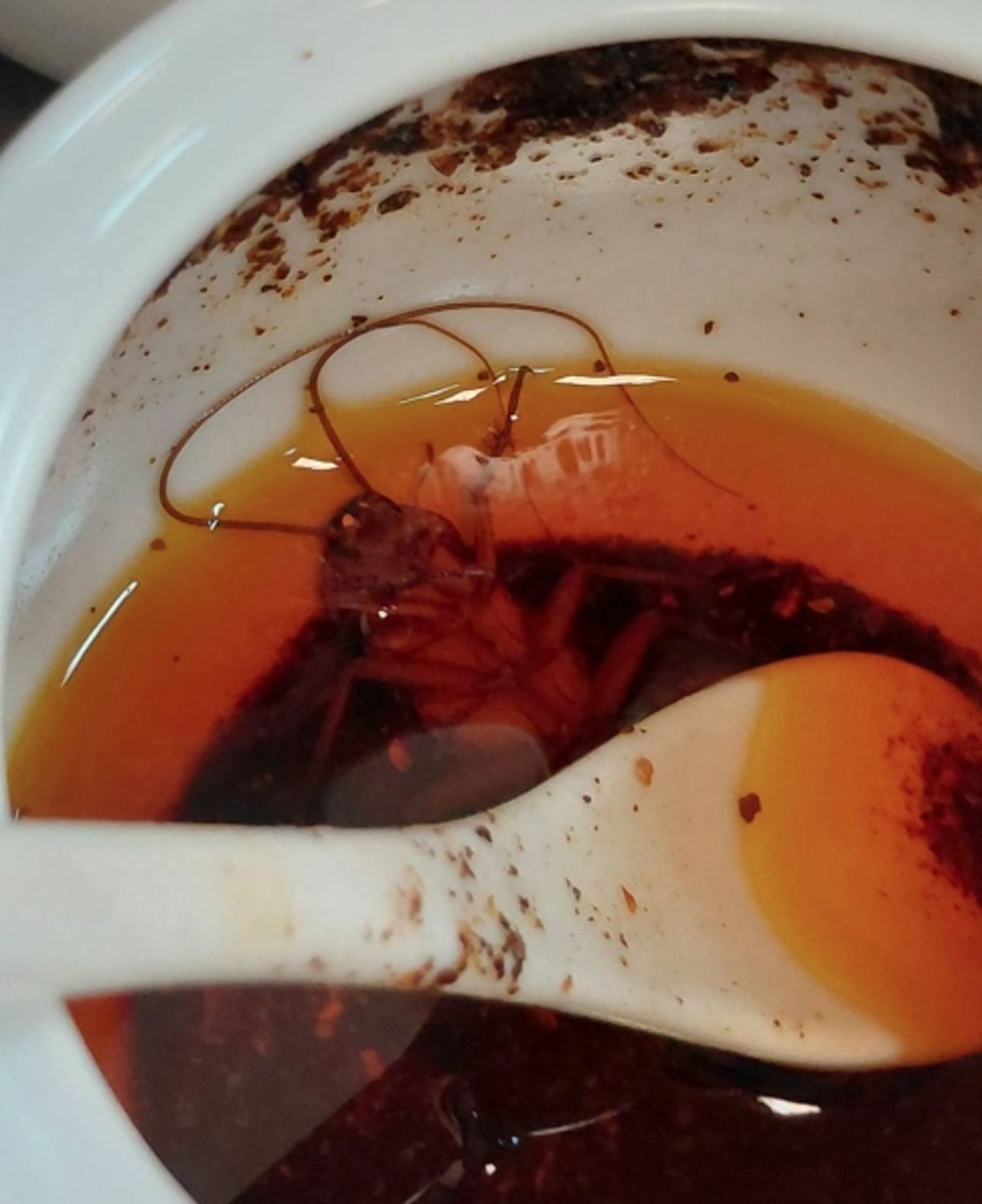 辣油藏巨型蟑螂事件曝光後，阿幕麵店負責人才正式發聲道歉，並宣布暫停營業進行全店專業消毒。（翻攝自google maps、臉書/{仁武人}※大小事）