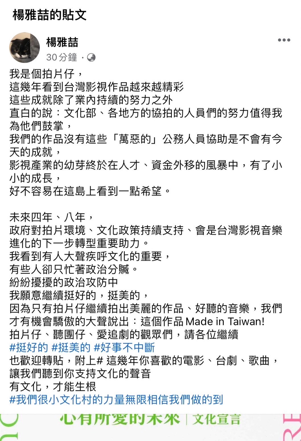 2024大選接近，文化圈今起串連表態支持民進黨繼續執政。（翻攝臉書）