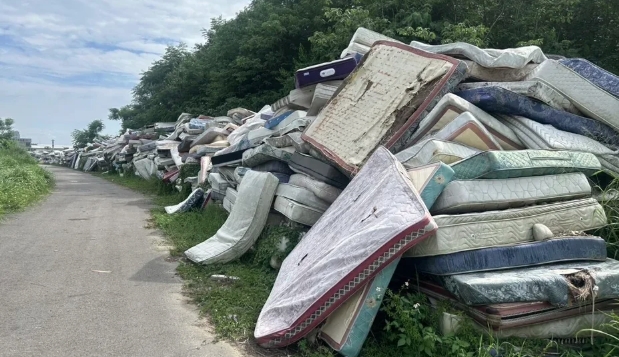 台中市潭子區清潔隊出入道路兩旁堆滿了密密麻麻的白色廢棄床墊，沿著土地邊緣蔓延將近一公里，宛如另類的迷你萬里長城。（賴朝國提供）