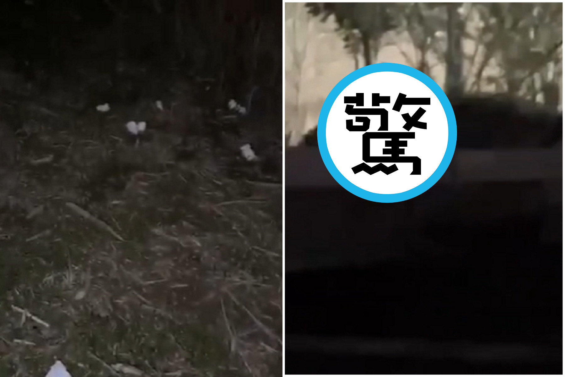 大學生夜遊探險驚見「色鬼」，校園內全是砲房！衛生用品灑滿地。（翻自《黑料網》）