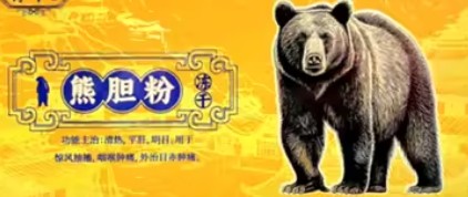 熊膽粉凍干粉確鑑定是保育類野生動物東北黑熊遺傳物質。（翻攝畫面）