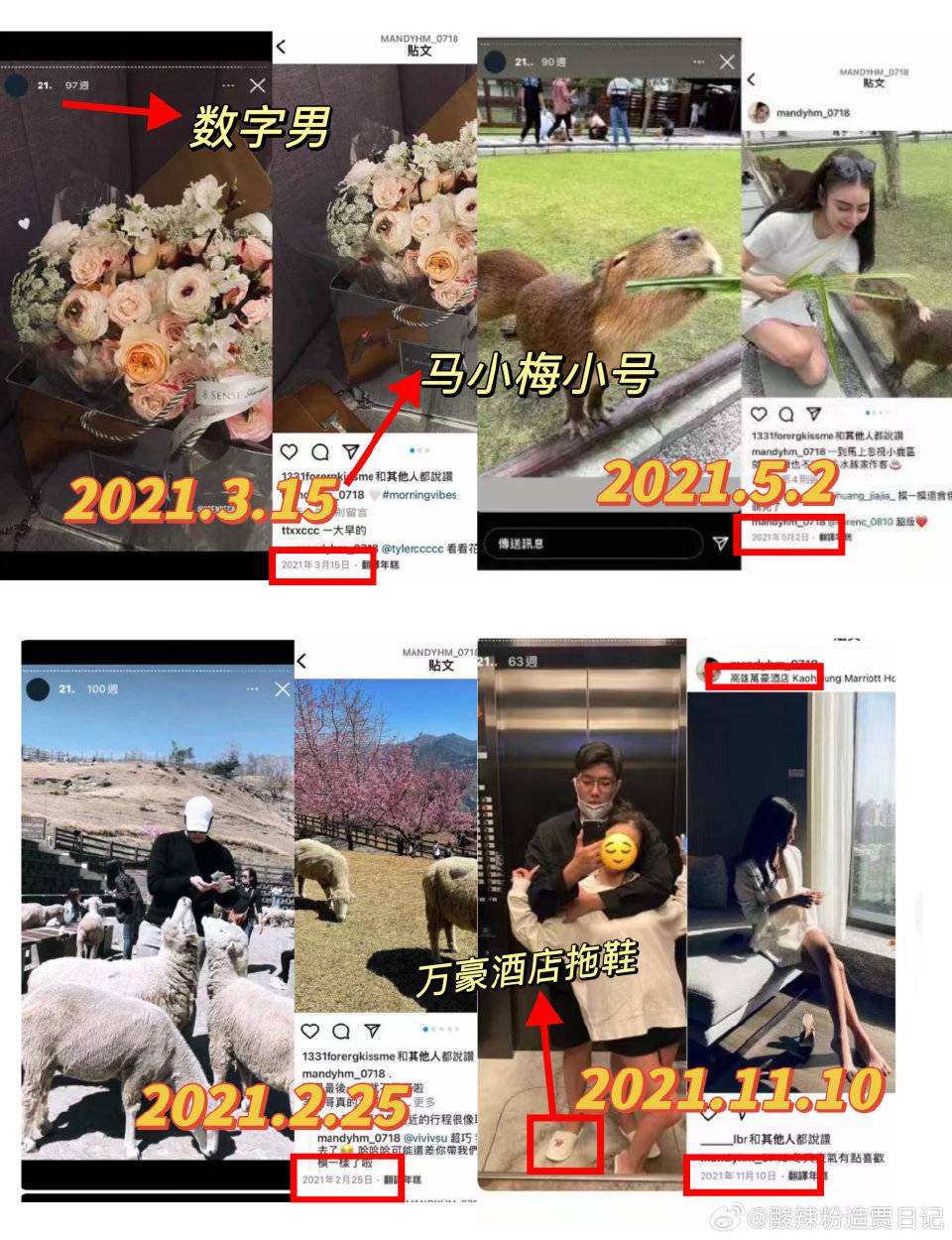 Mandy數字男在2021年2月同遊清境農場，5月同遊動物園喂水豚，11月一同去萬豪酒店。（翻攝自微博）