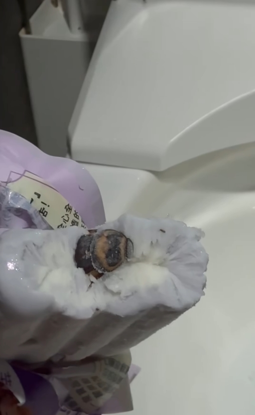 有消費者享用芋頭冰棒時，竟咬到一整支完整的蟑螂。（翻攝自爆料公社）
