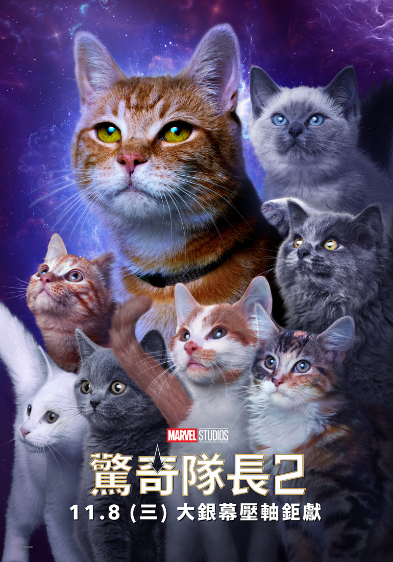 雖然片名叫做《驚奇隊長2》,但海報已經告訴大家,賣點就是這群拯救主角的貓。(漫威影業提供)