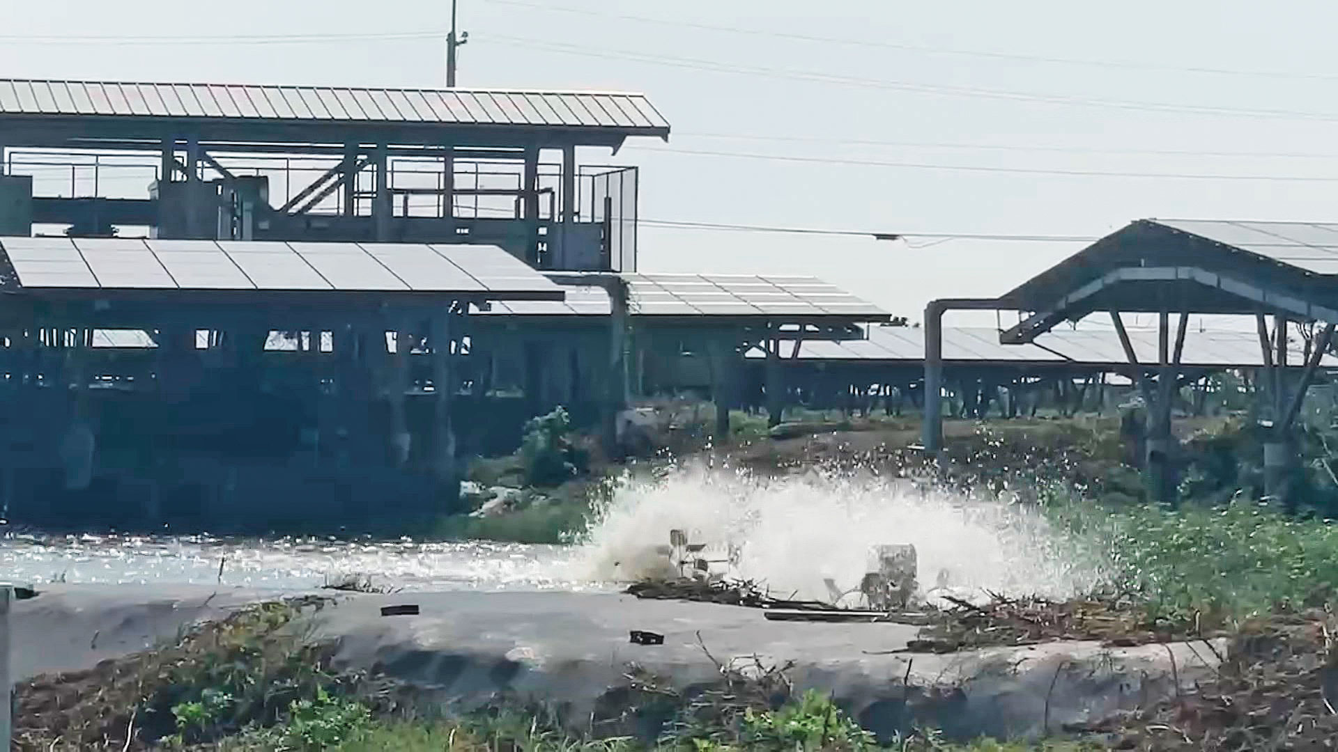 檢調追查台綠在嘉南沿岸上百公頃的漁電共生案涉弊,懷疑陳啟昱藉此掏空台鹽。(鏡新聞提供)